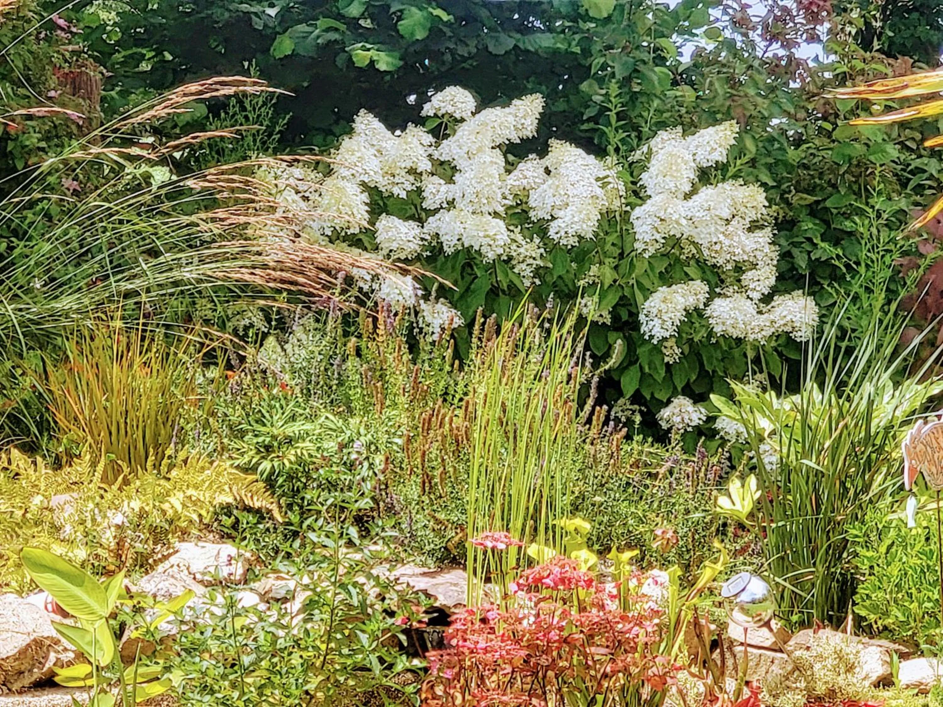 Garden in L'Oustaou du Bodo