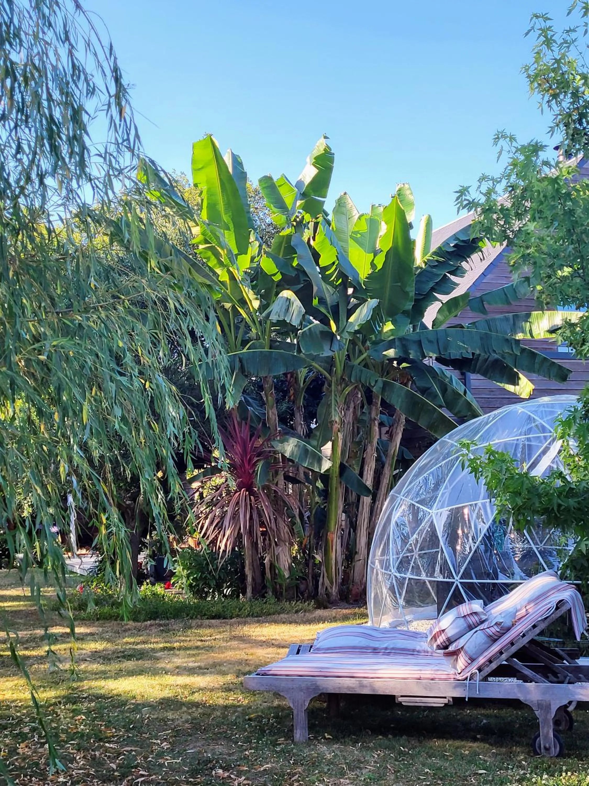 Garden in L'Oustaou du Bodo