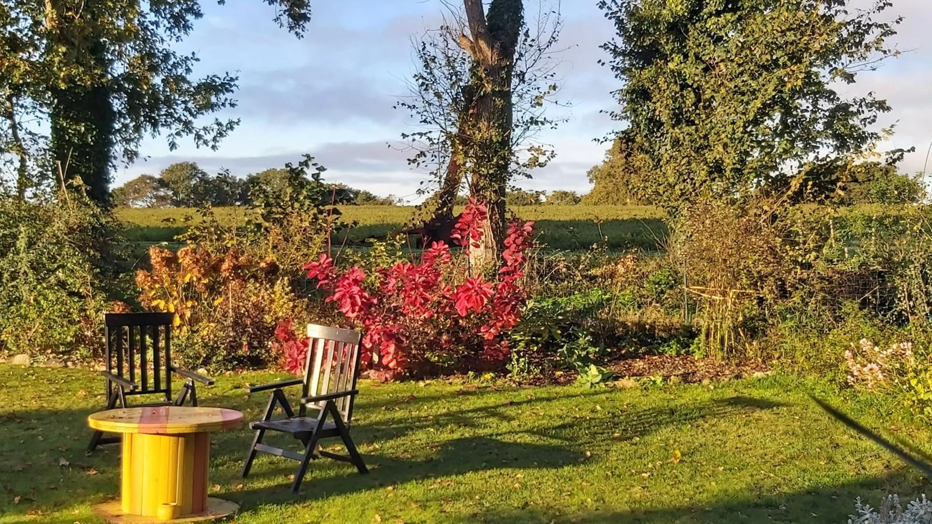 Garden in L'Oustaou du Bodo