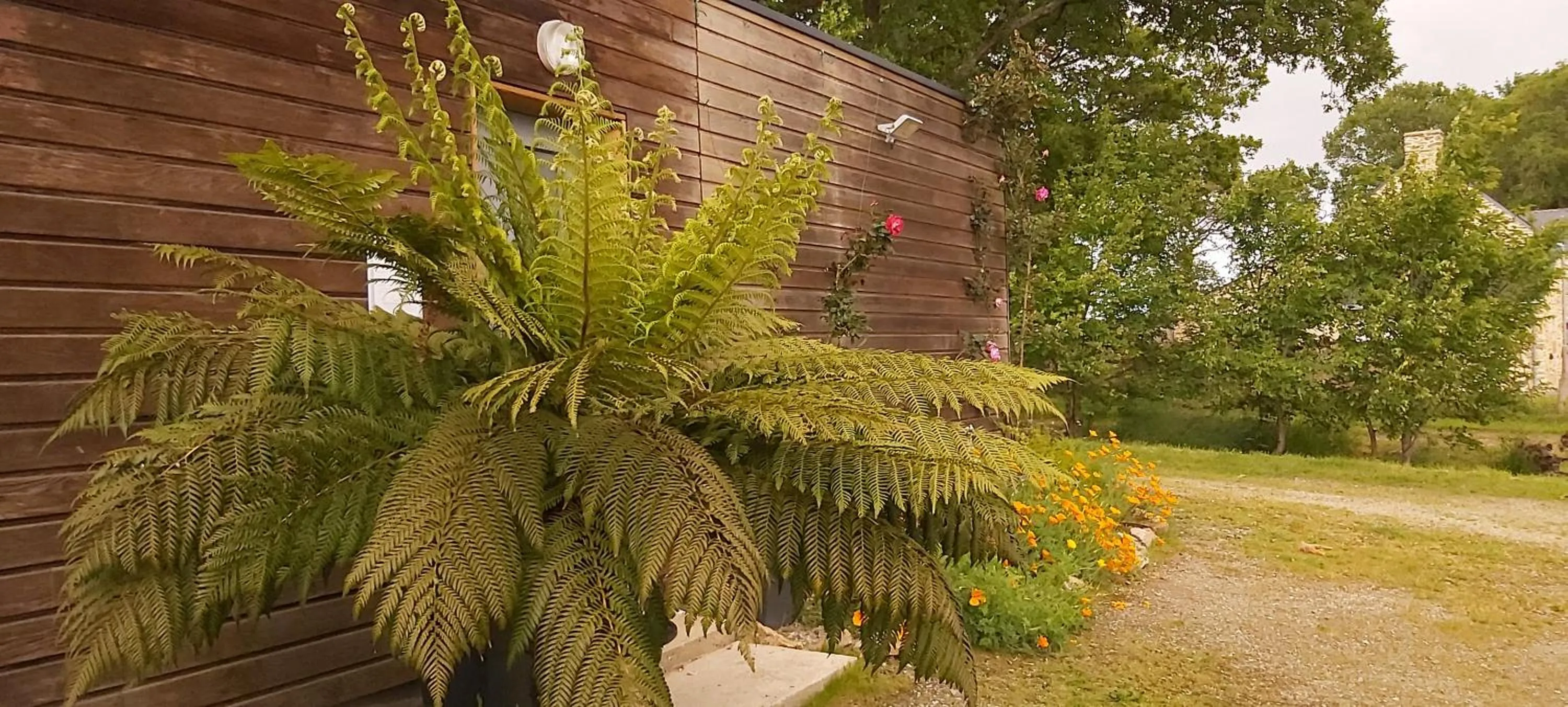 Garden in L'Oustaou du Bodo