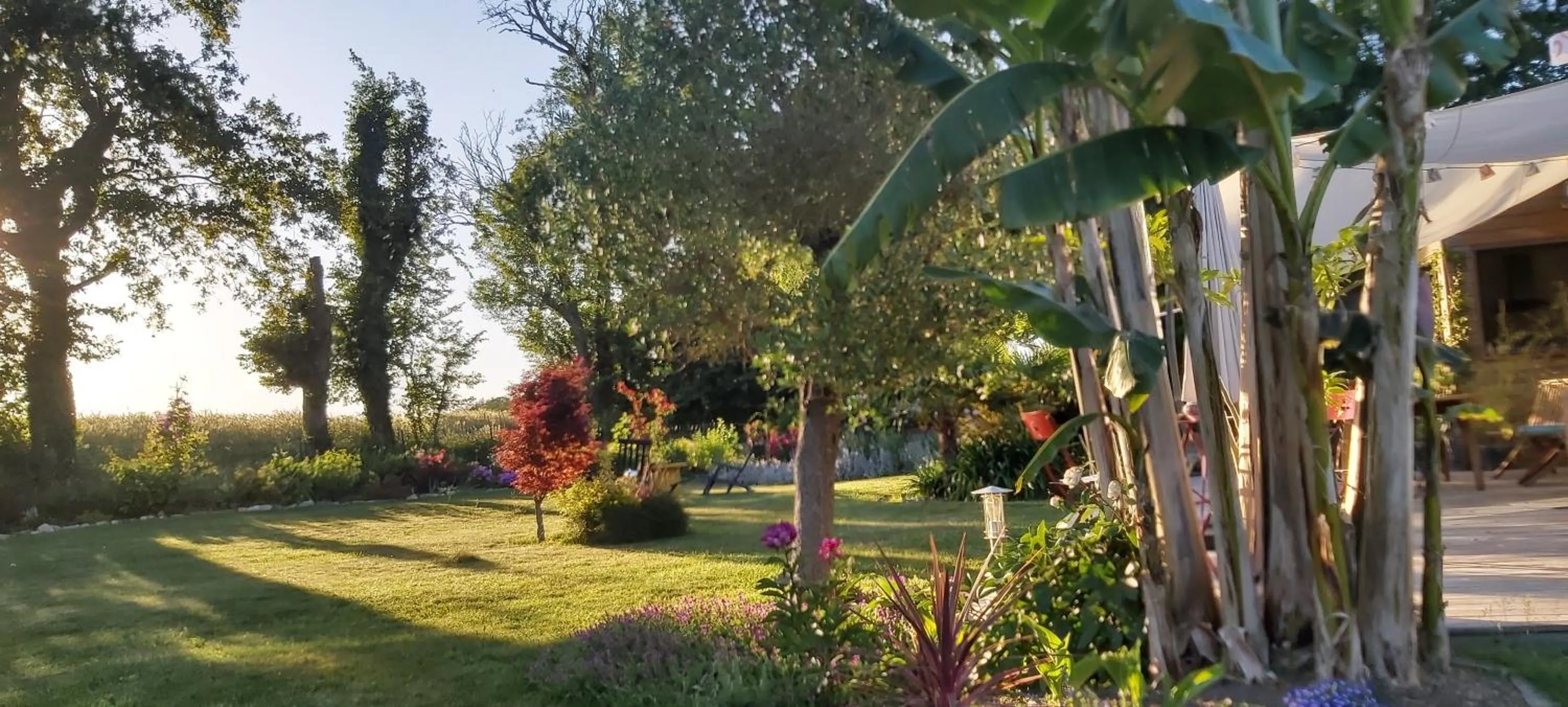 Garden in L'Oustaou du Bodo