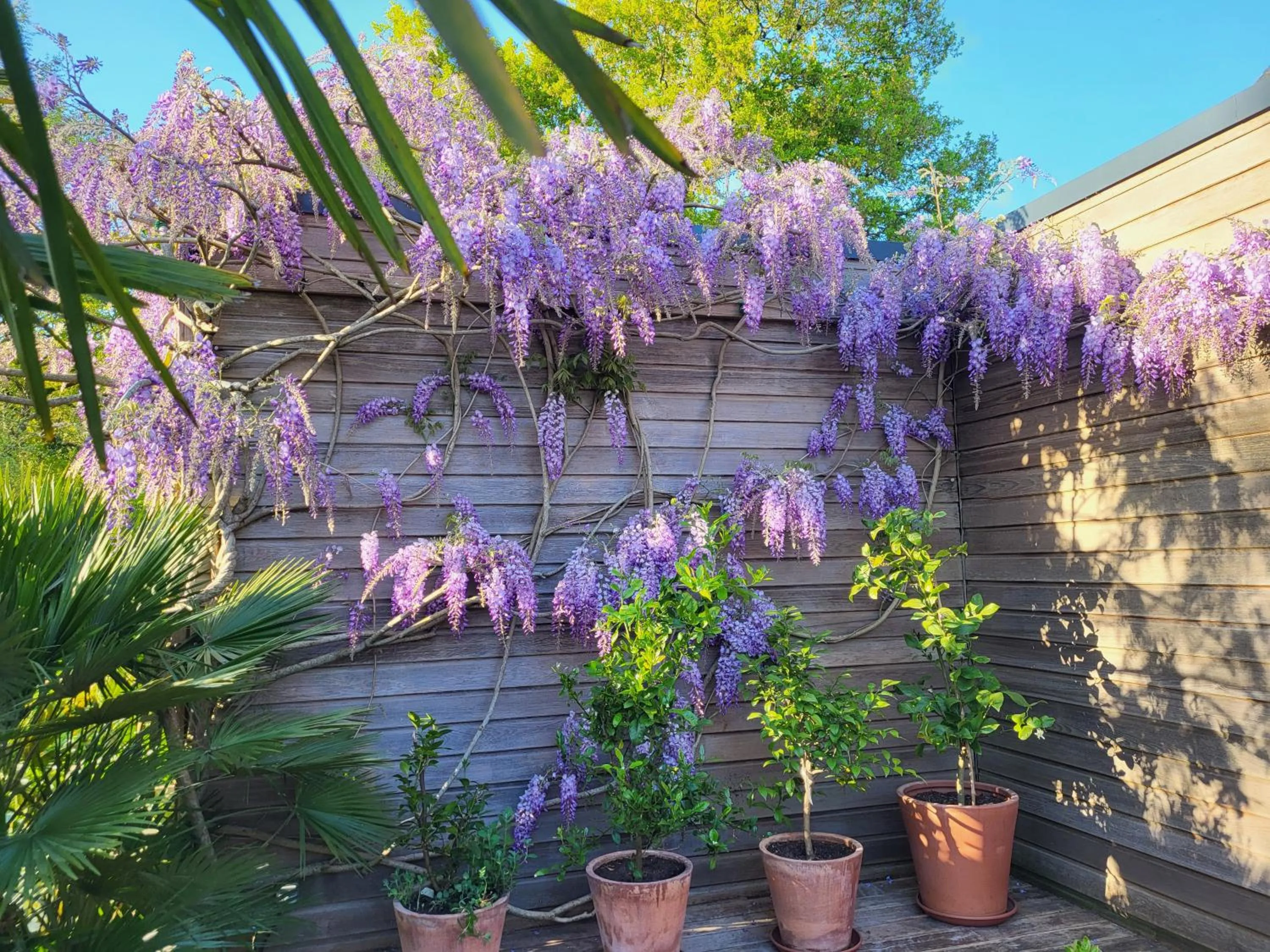 Spring in L'Oustaou du Bodo