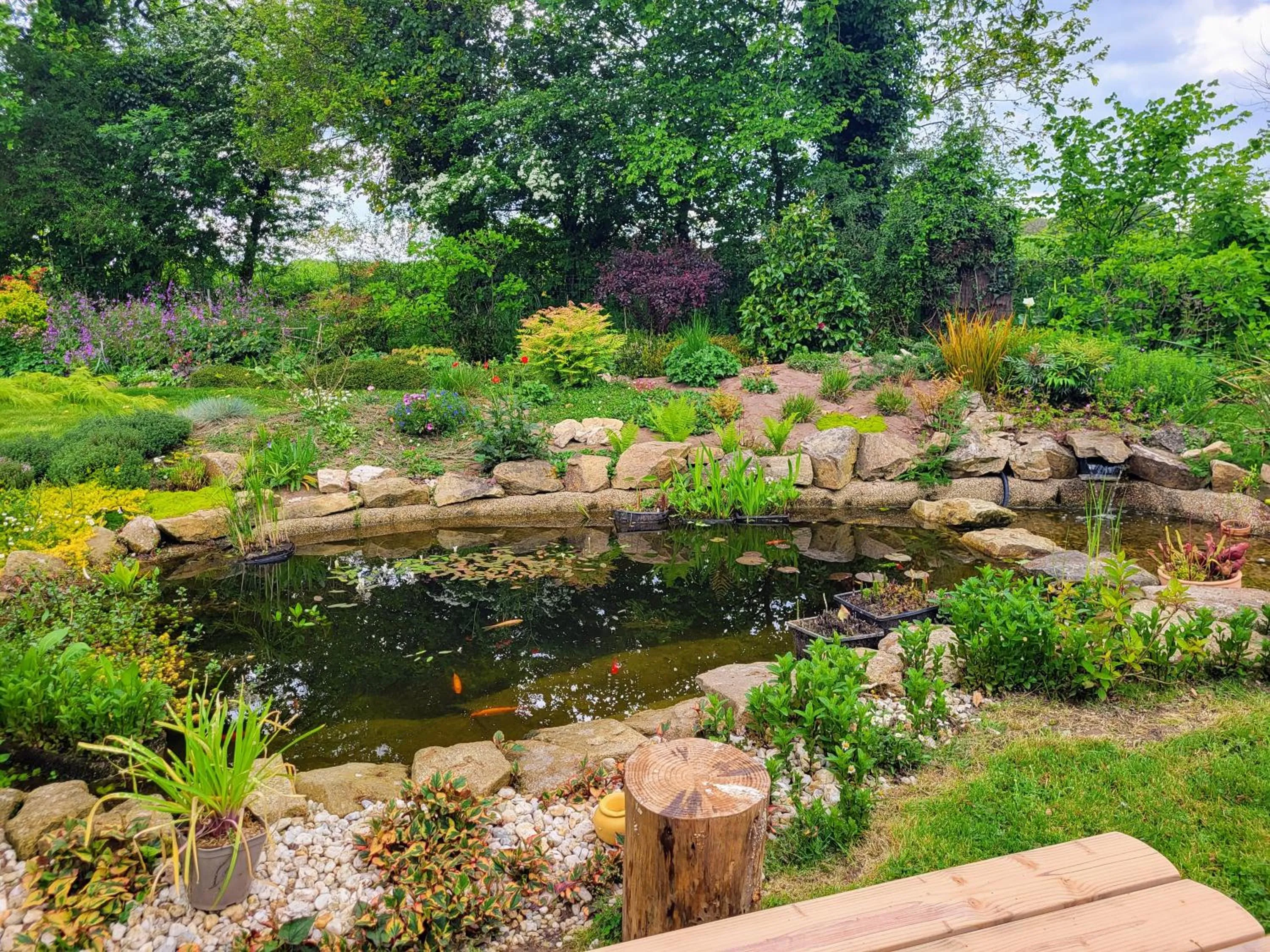 Garden in L'Oustaou du Bodo