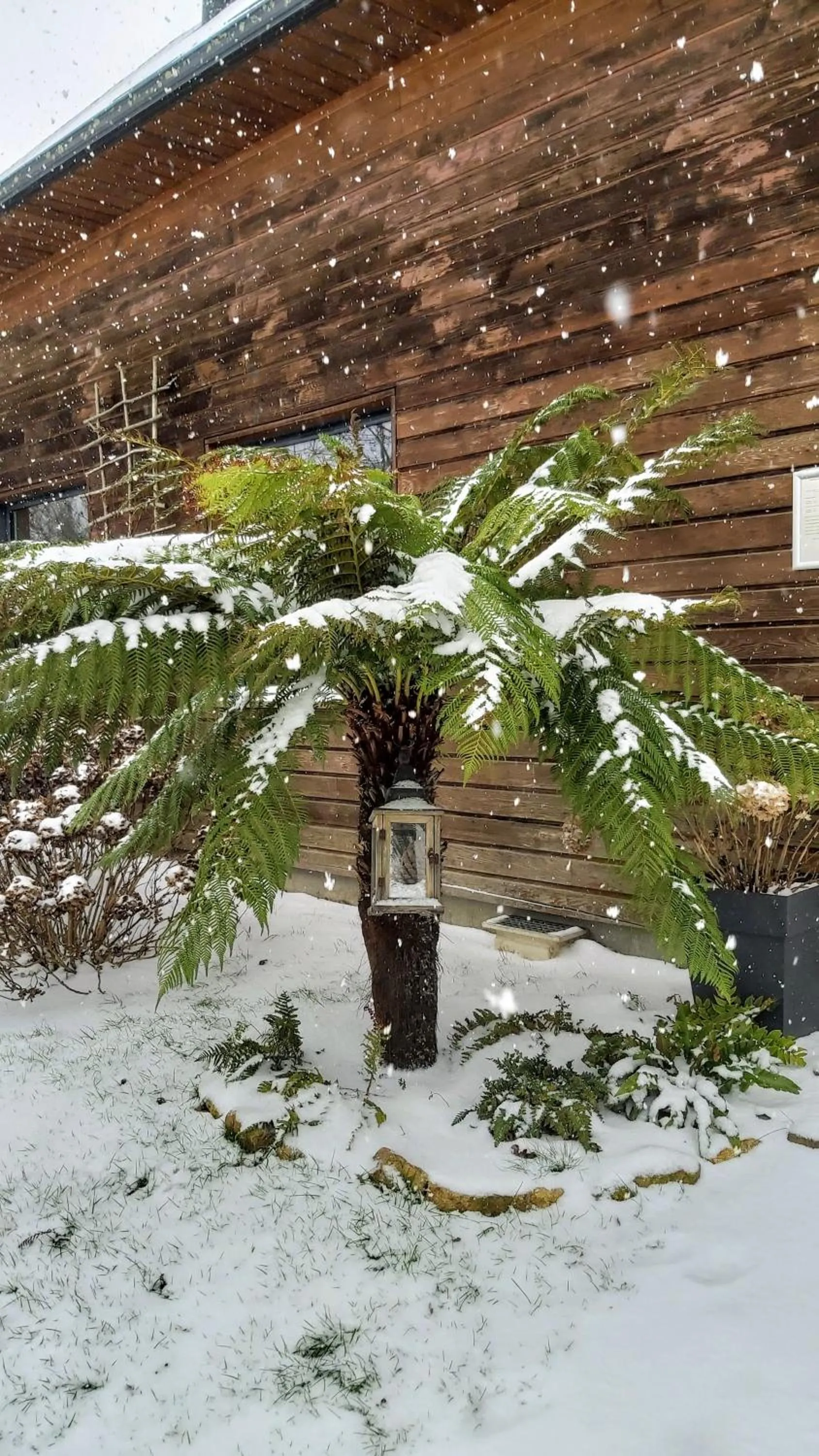 Winter in L'Oustaou du Bodo
