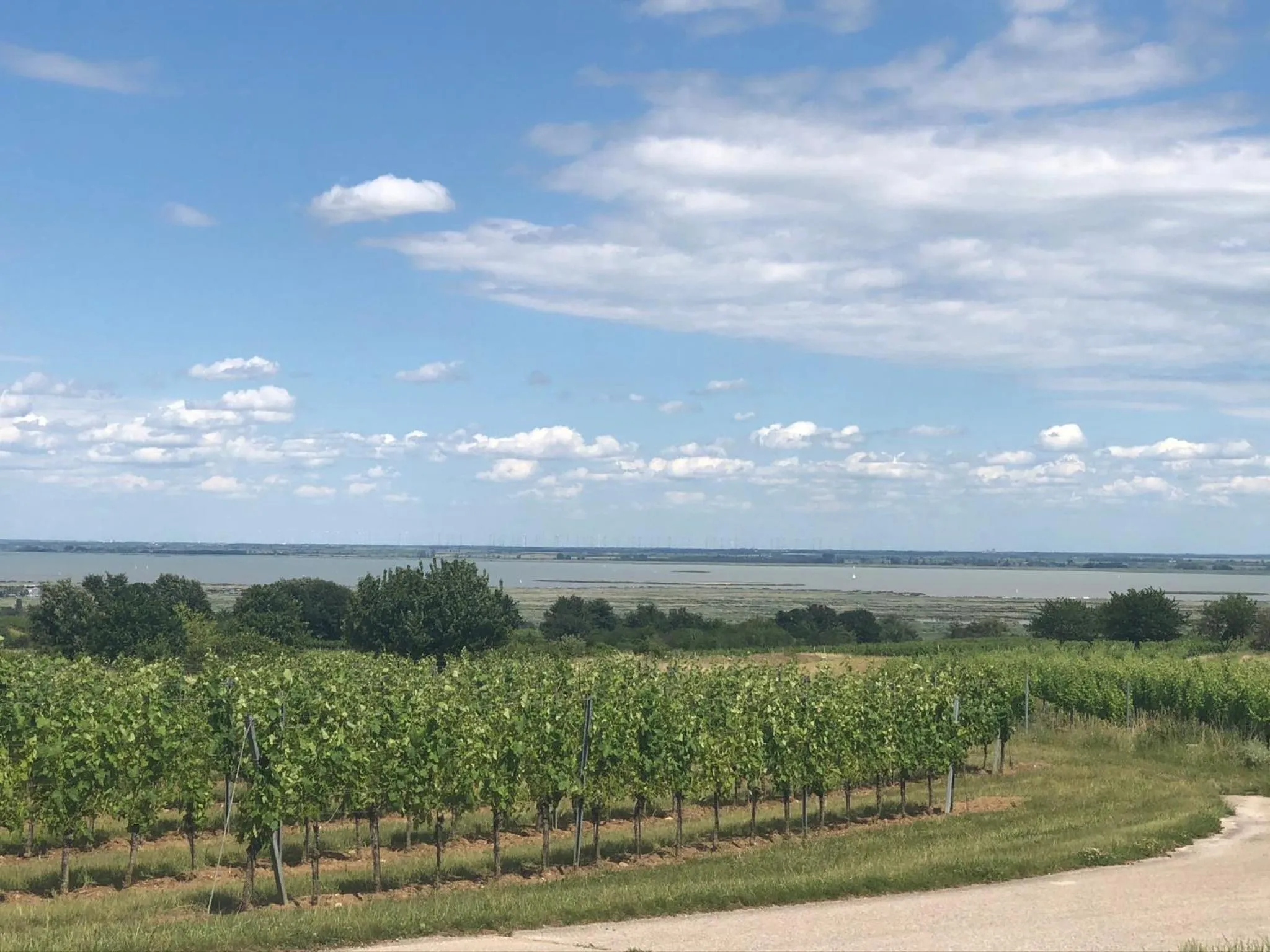 Staff in Pension Peterhof