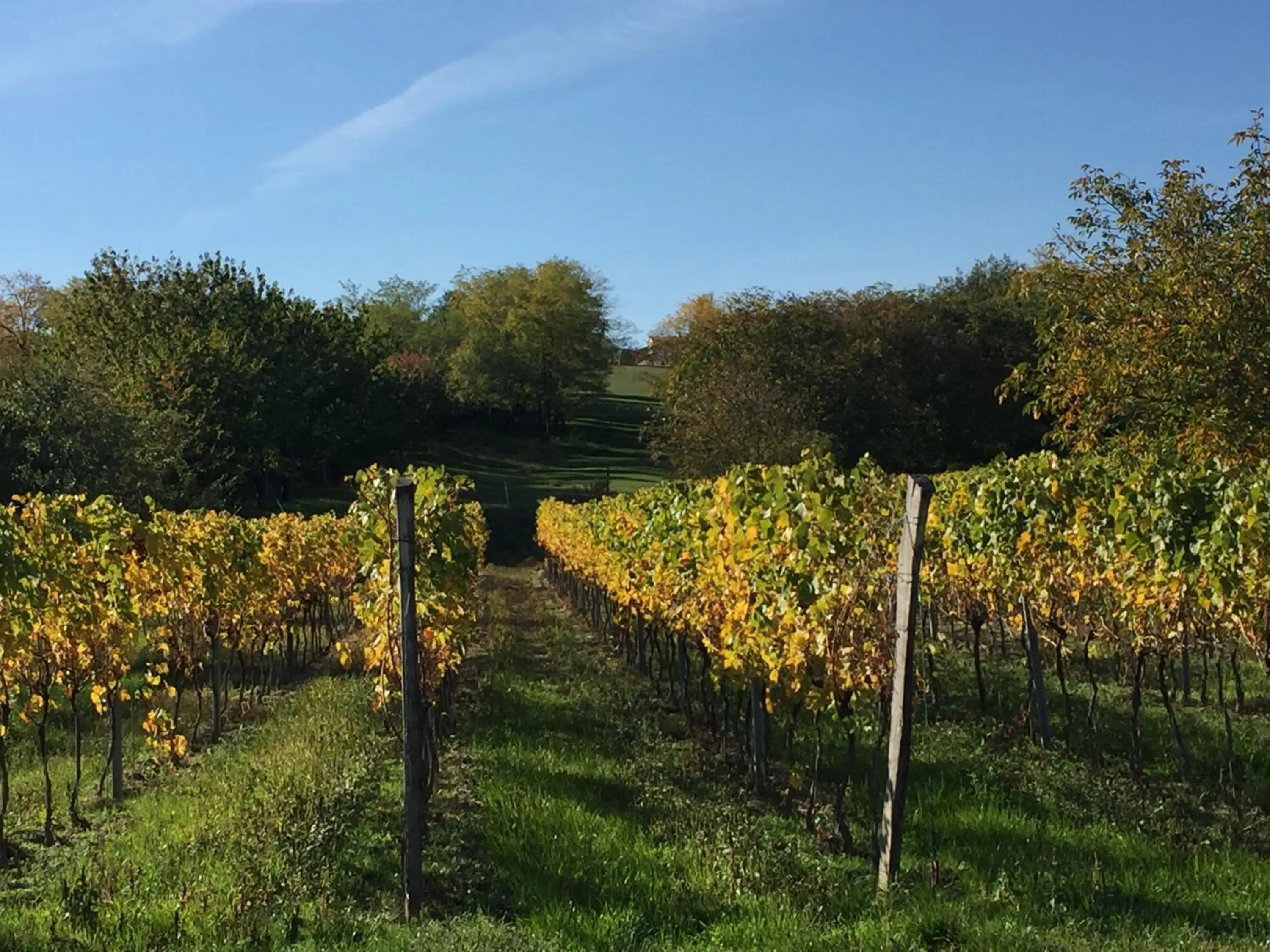 Cycling in Pension Peterhof