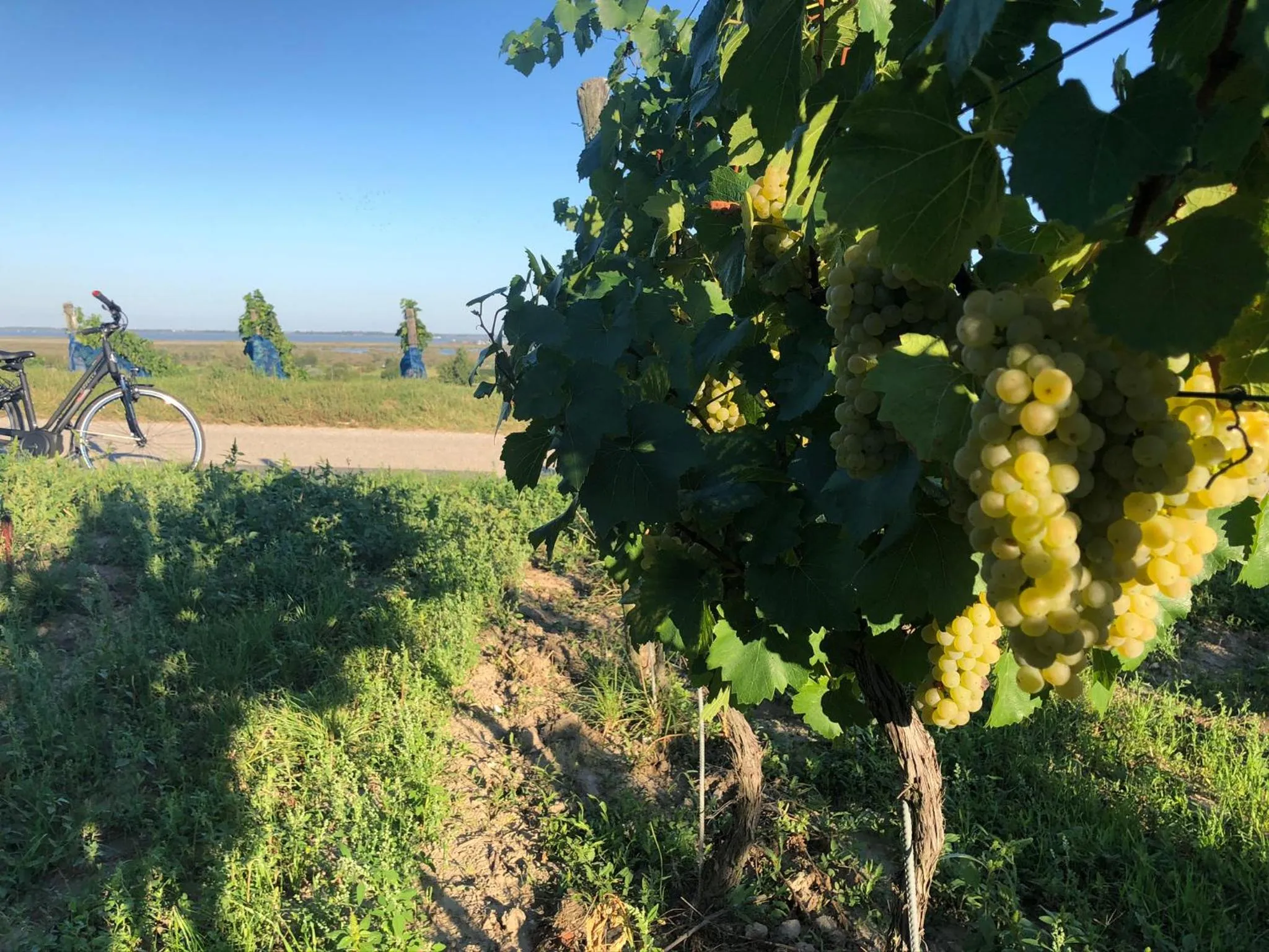 Cycling in Pension Peterhof