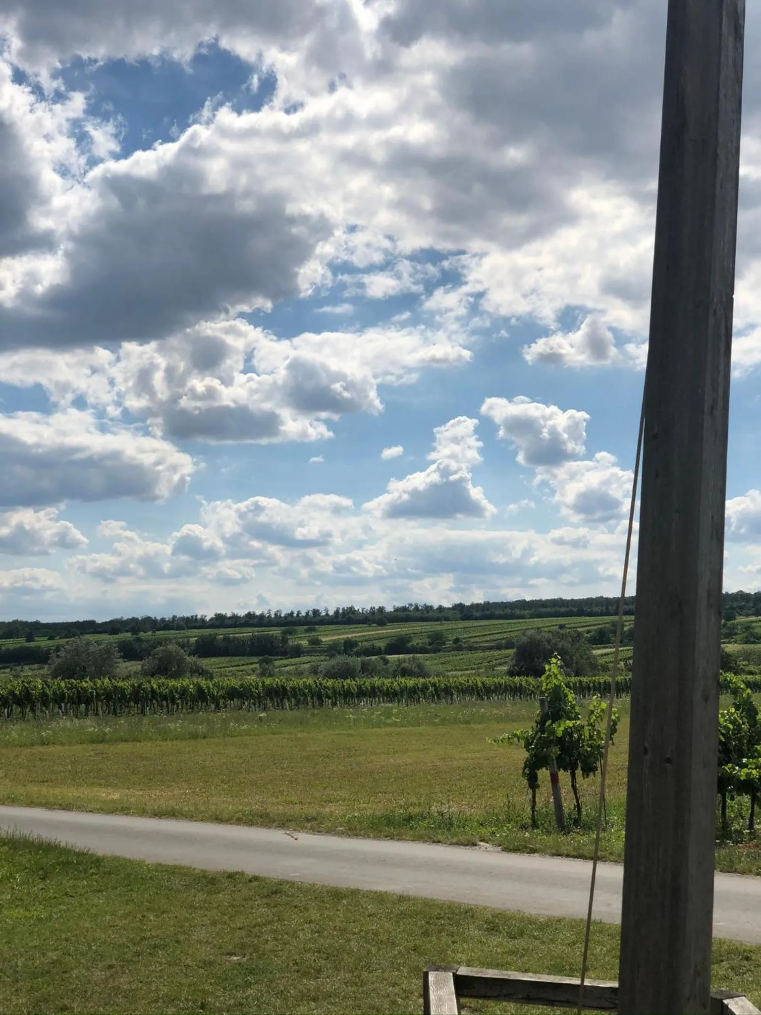 Natural landscape in Pension Peterhof