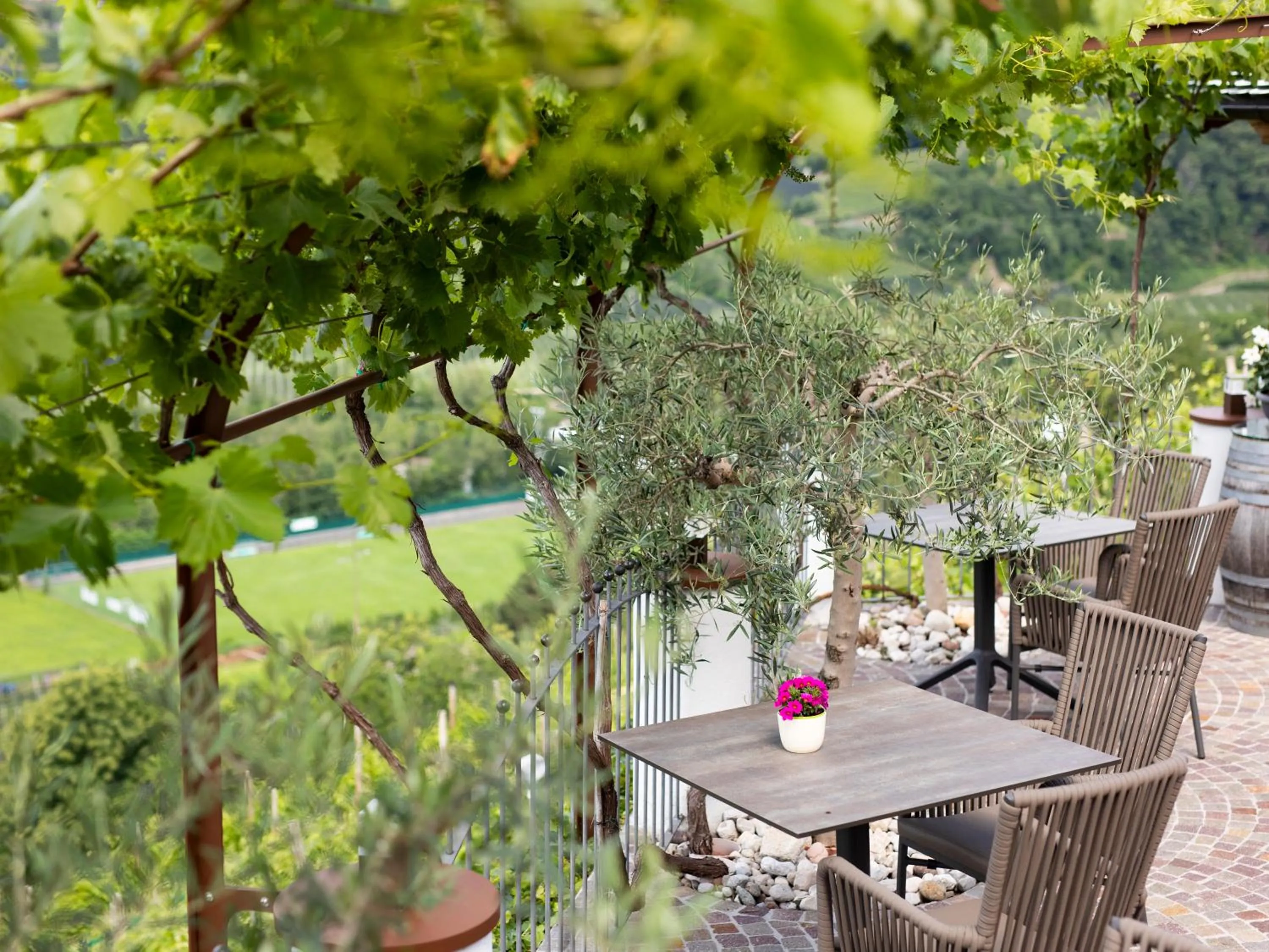 Breakfast in Hotel Weingut Innerleiterhof