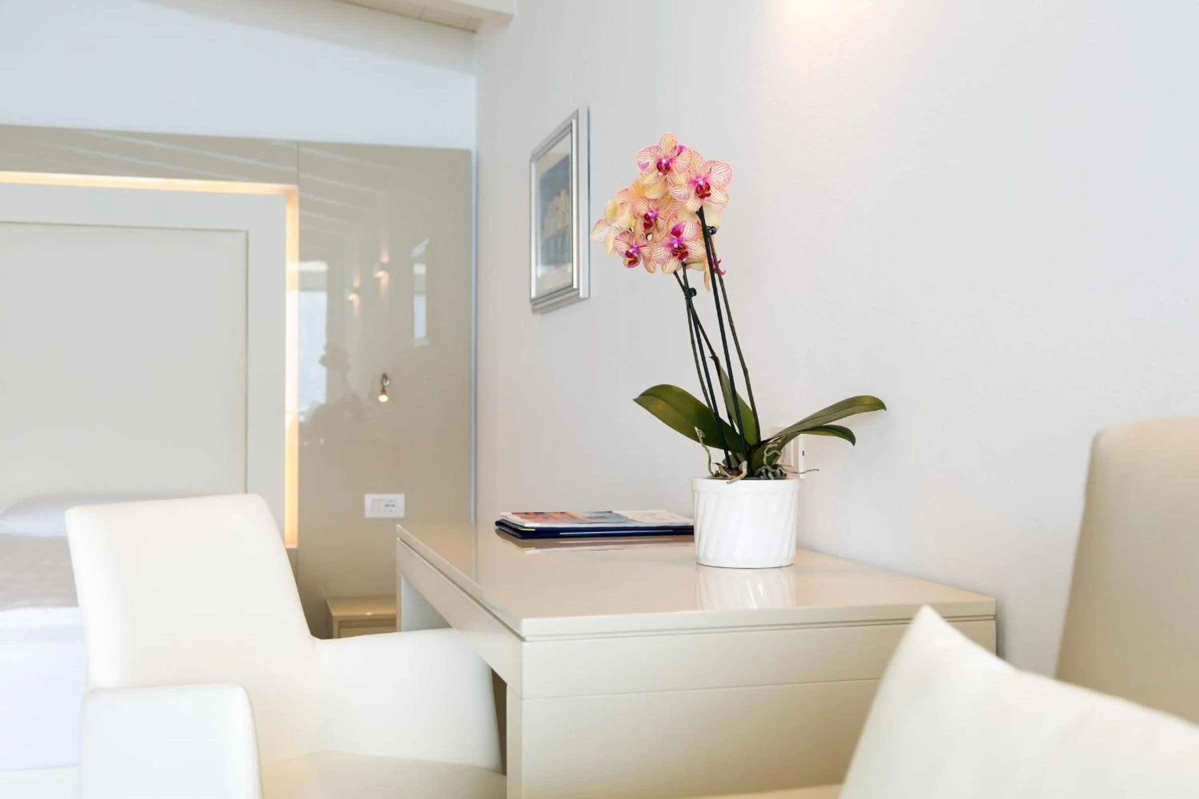 Photo of the whole room in Hotel Vega