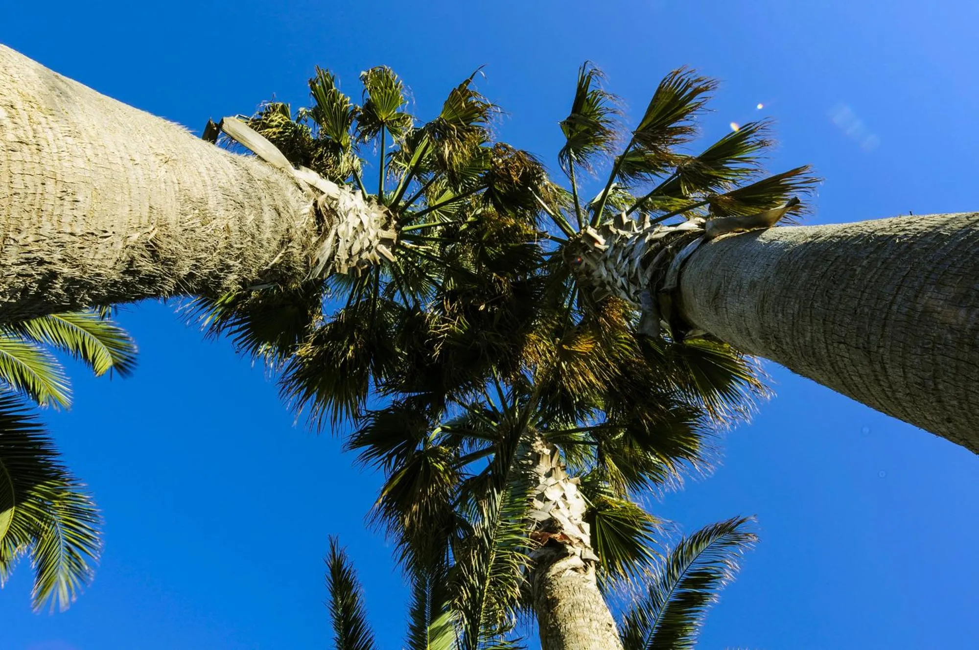 Day in Hotel Regent - In pieno Centro