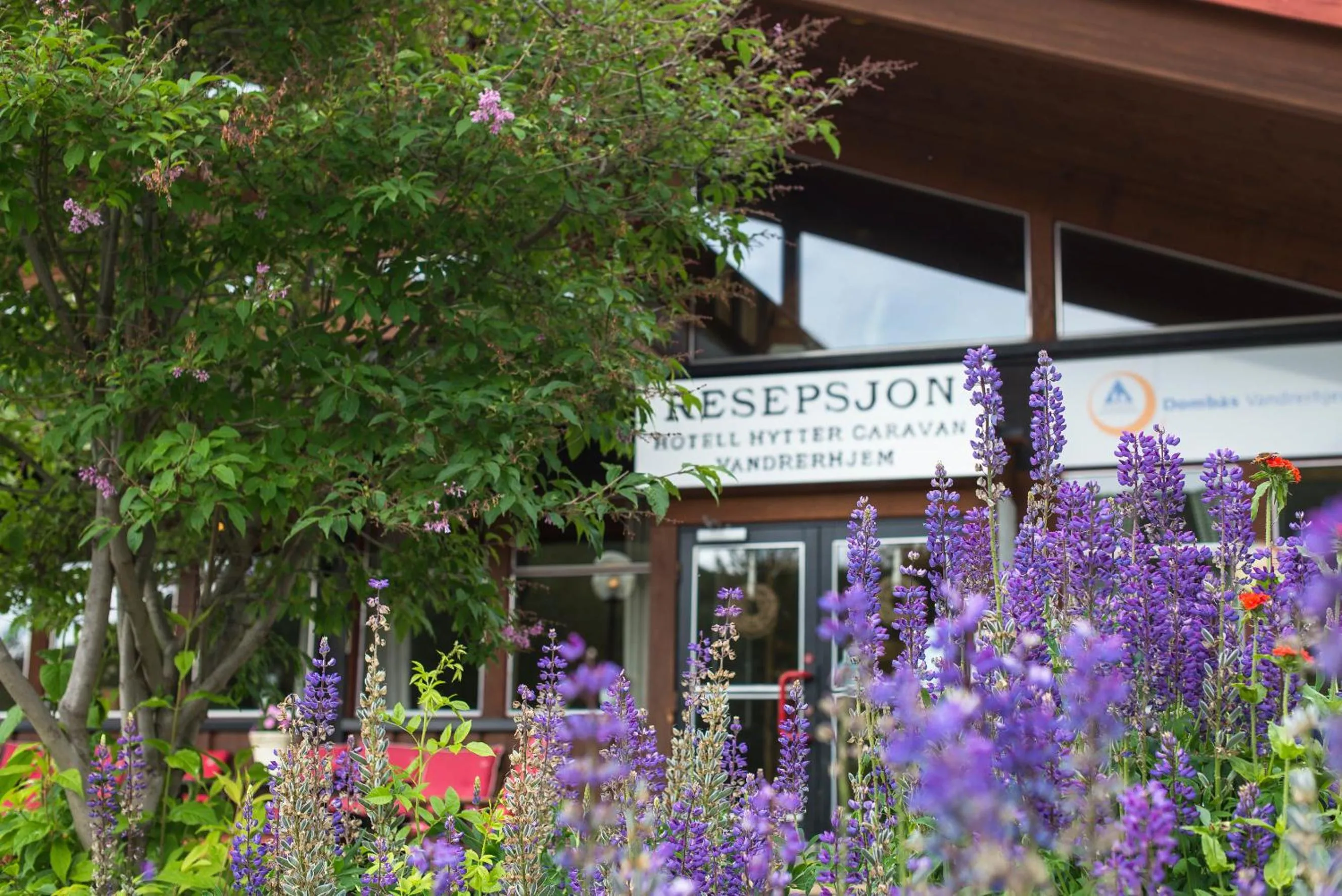 Property building in Hytter Dombås