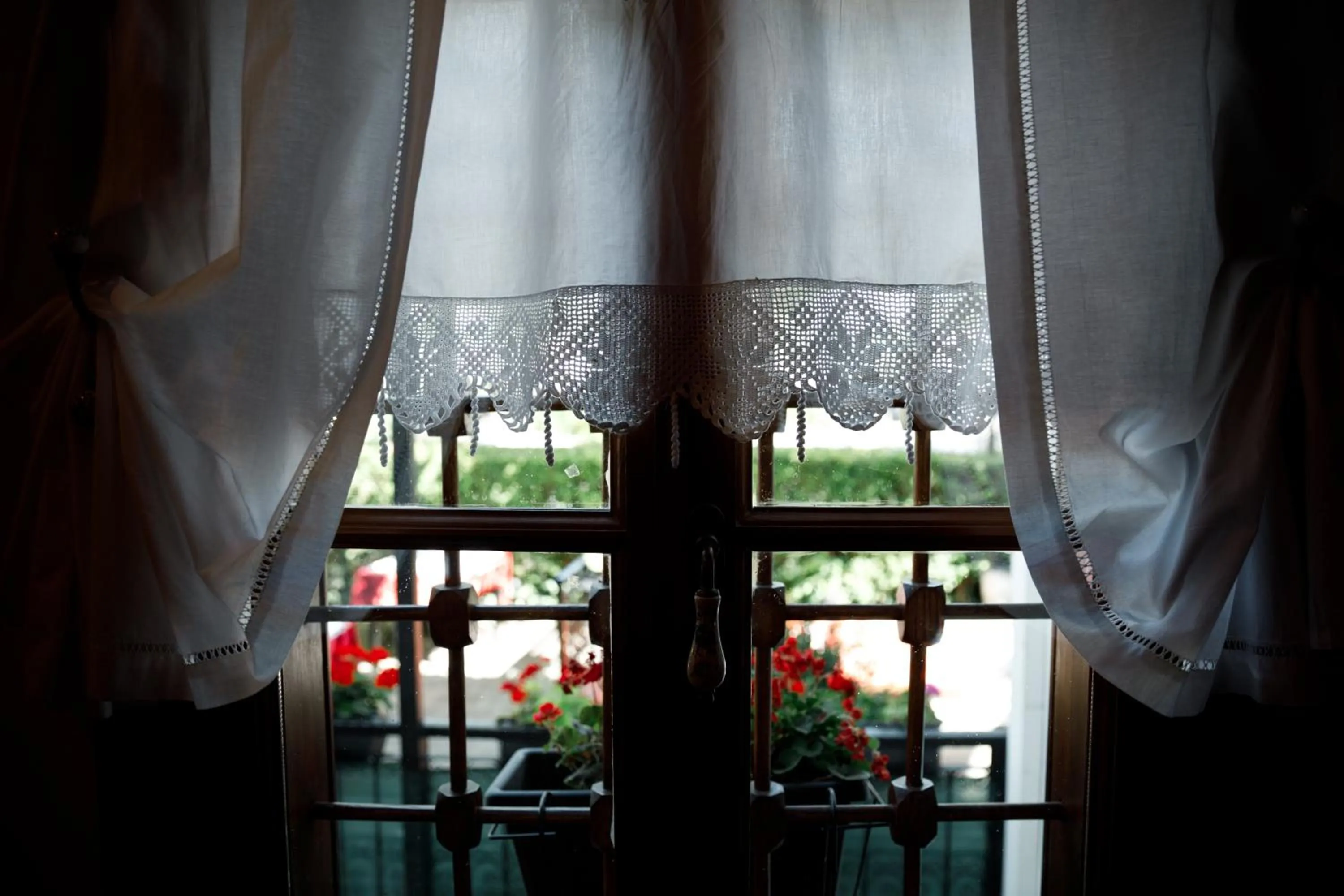 Garden in Boutique Hotel Musée