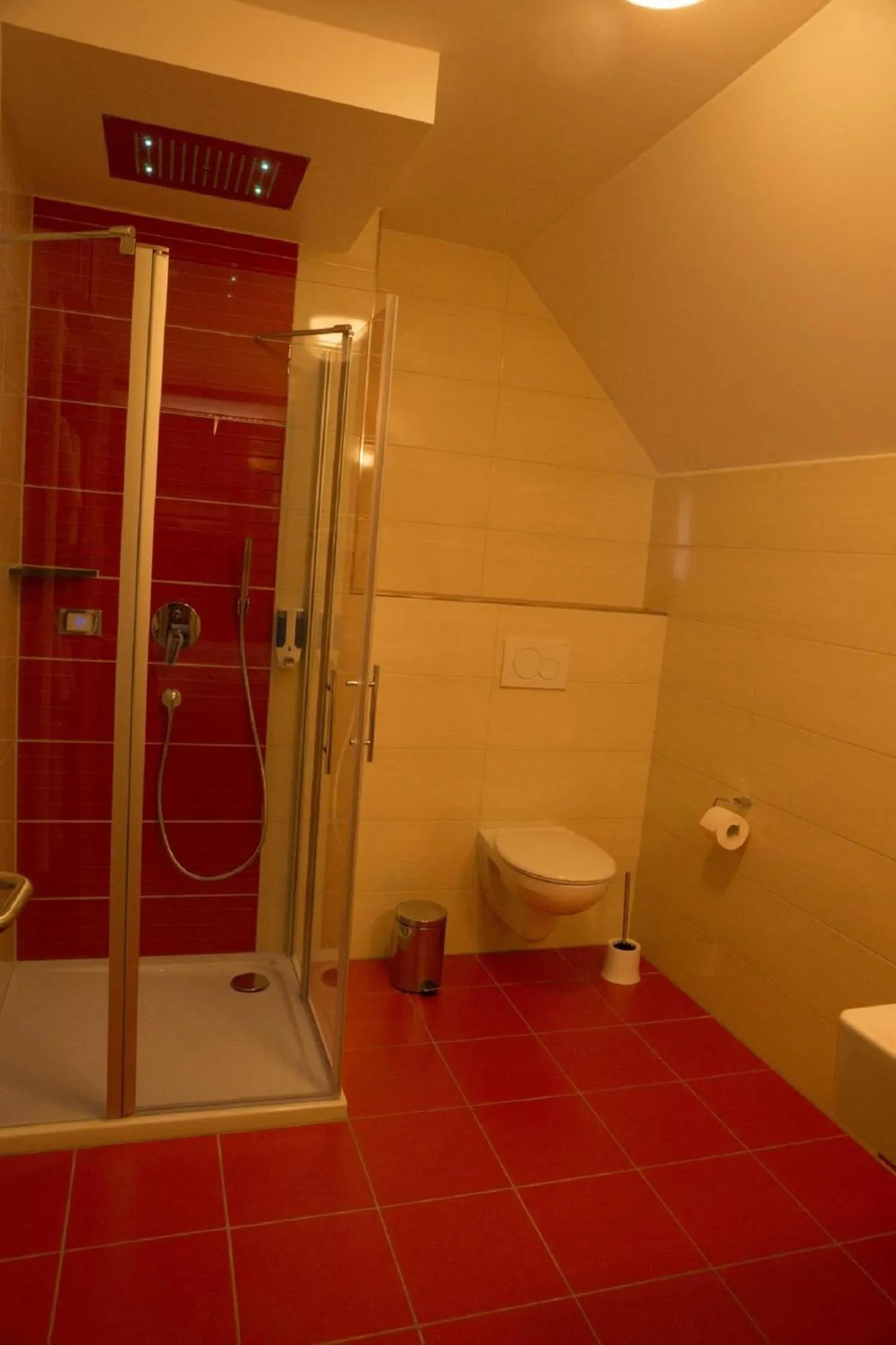 Shower in Gasthaus Schwarzer Adler