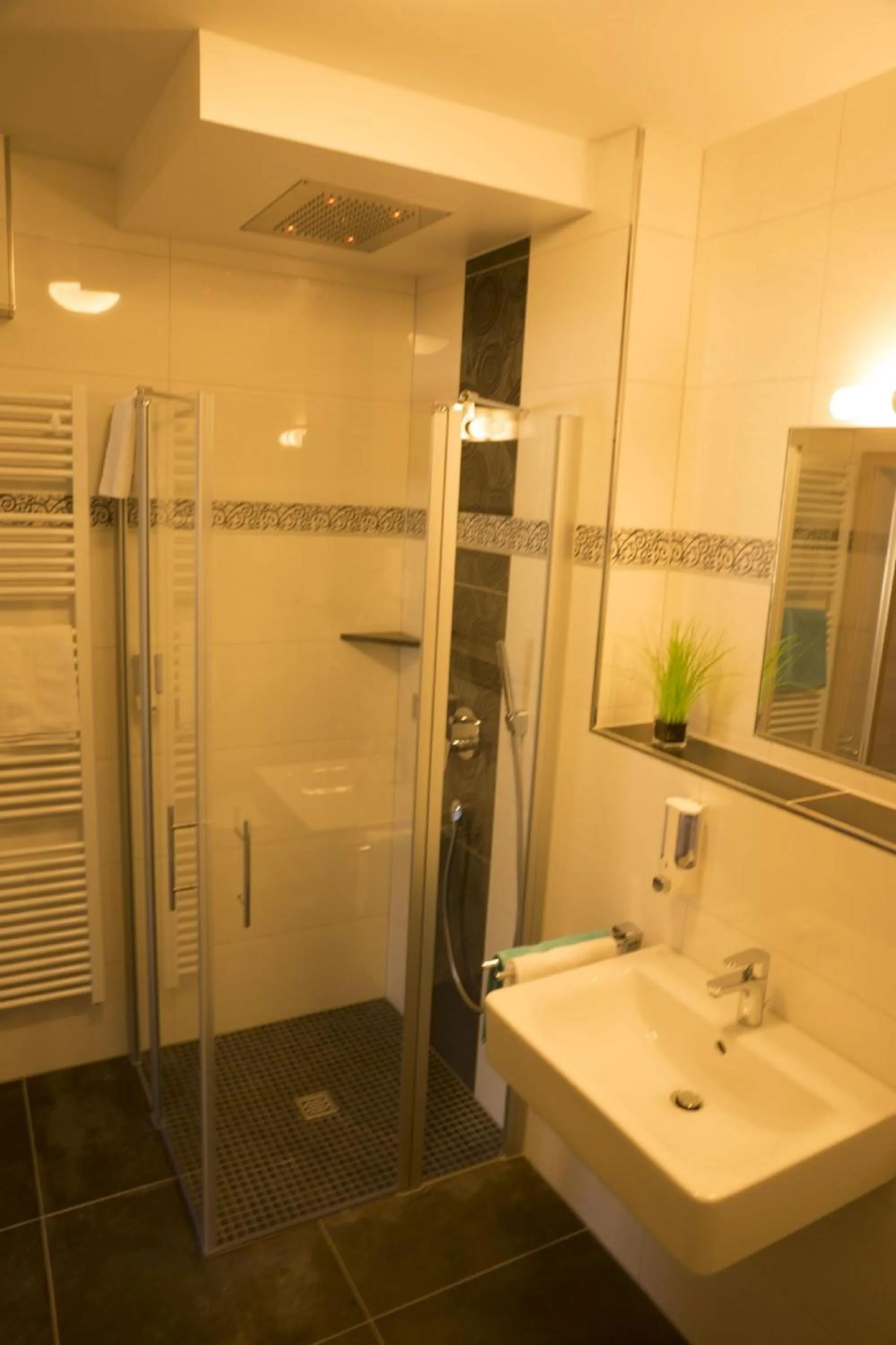 Shower in Gasthaus Schwarzer Adler