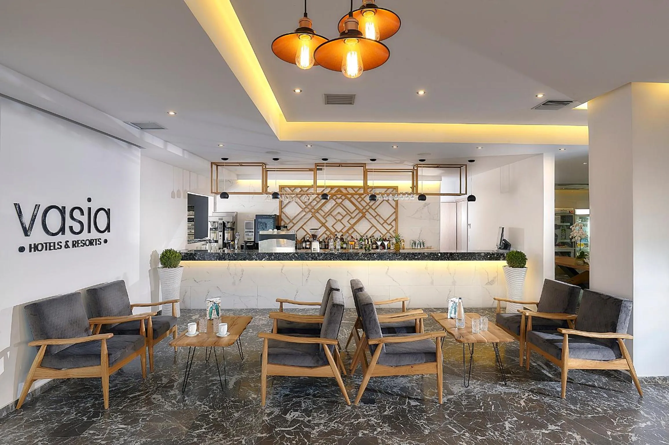 Lounge or bar in Vasia Royal Hotel
