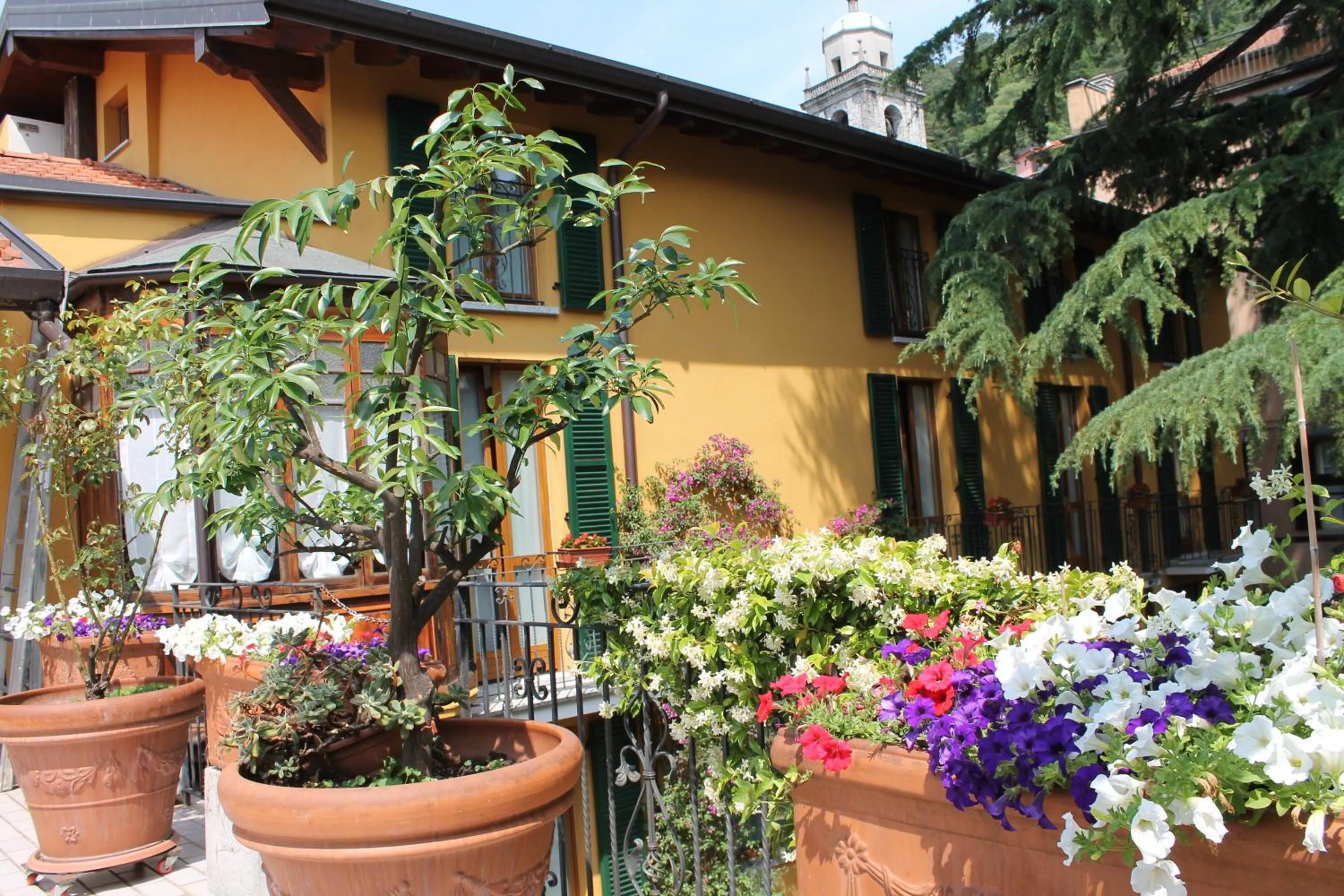 Balcony/Terrace in Hotel Centrale Bellagio