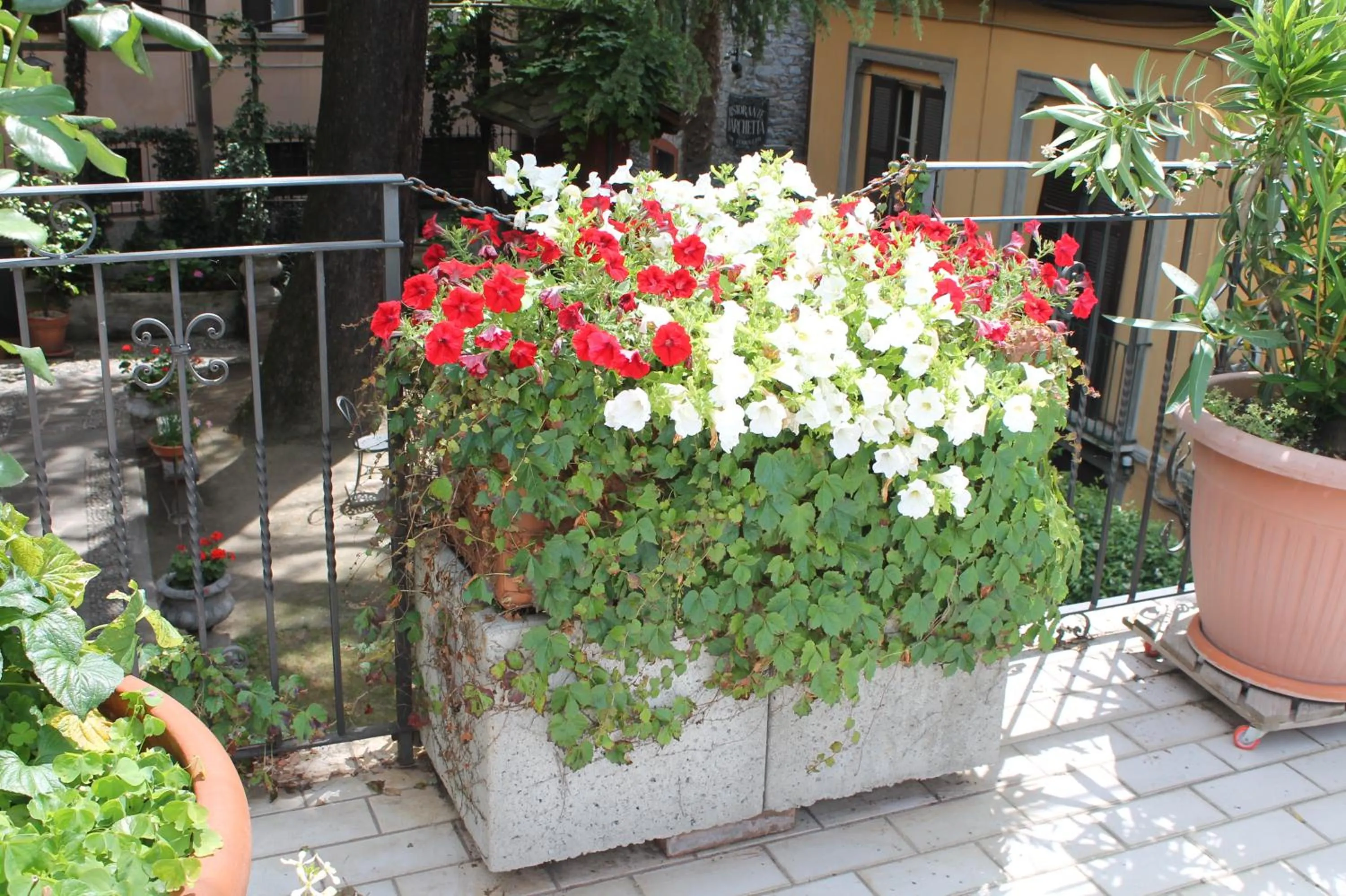 Day in Hotel Centrale Bellagio