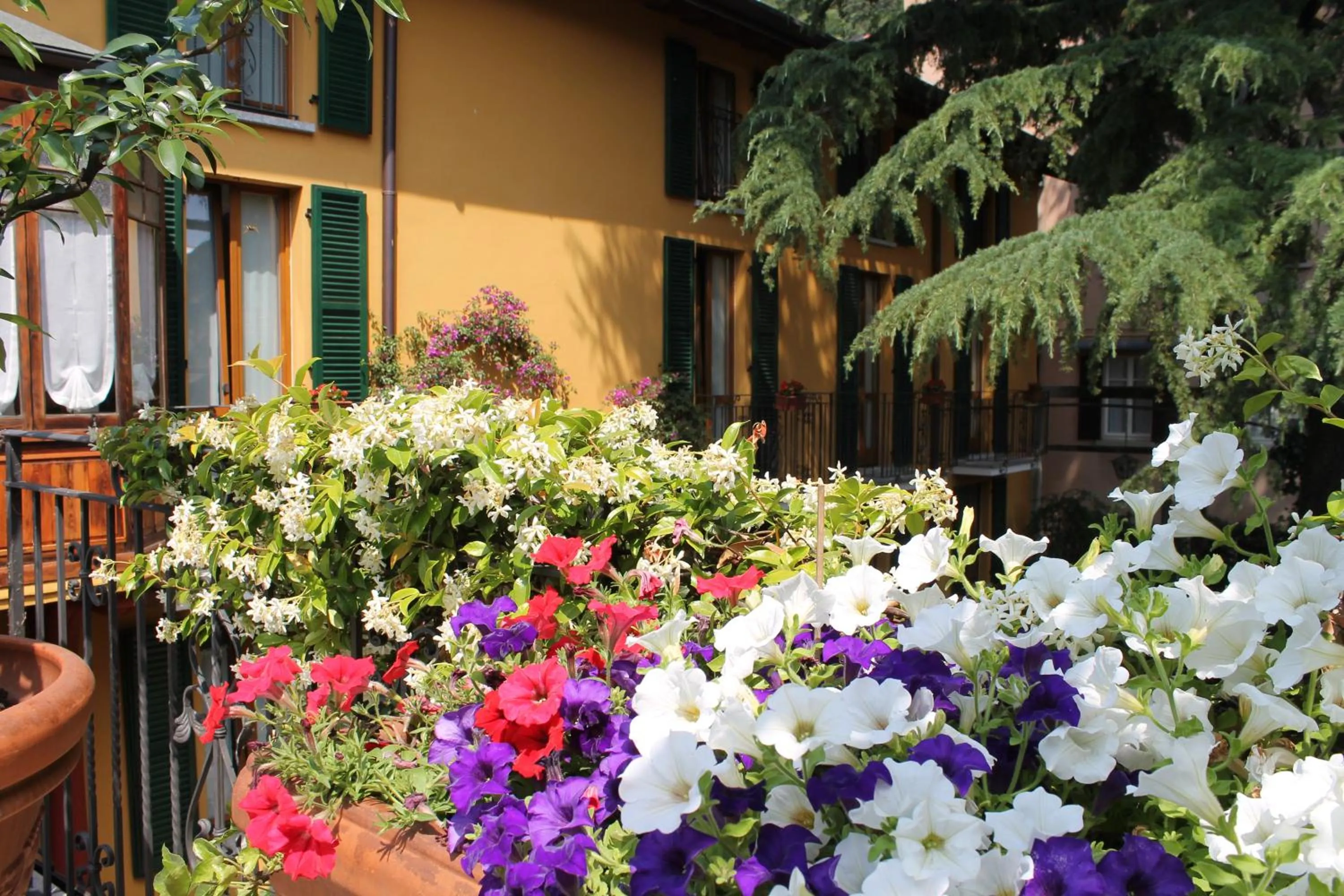 Balcony/Terrace in Hotel Centrale Bellagio