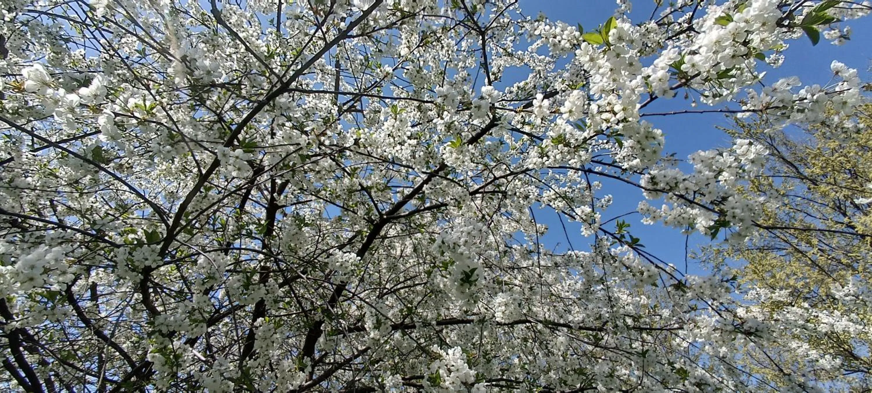 Cascina Borgofrancone