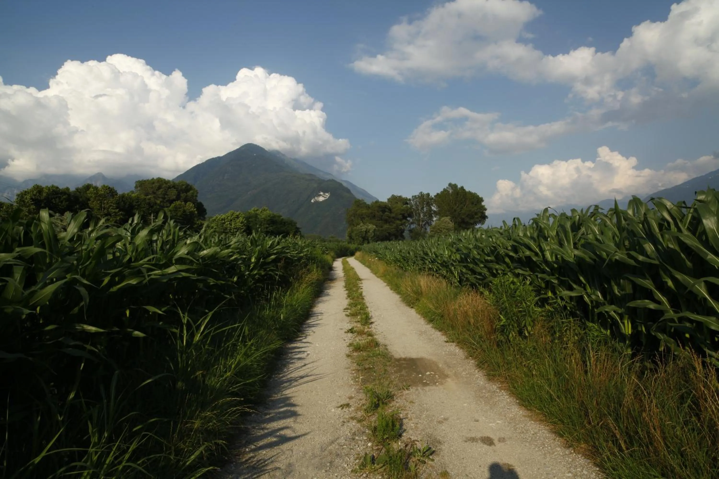 Cascina Borgofrancone