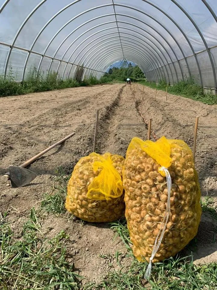 Cascina Borgofrancone