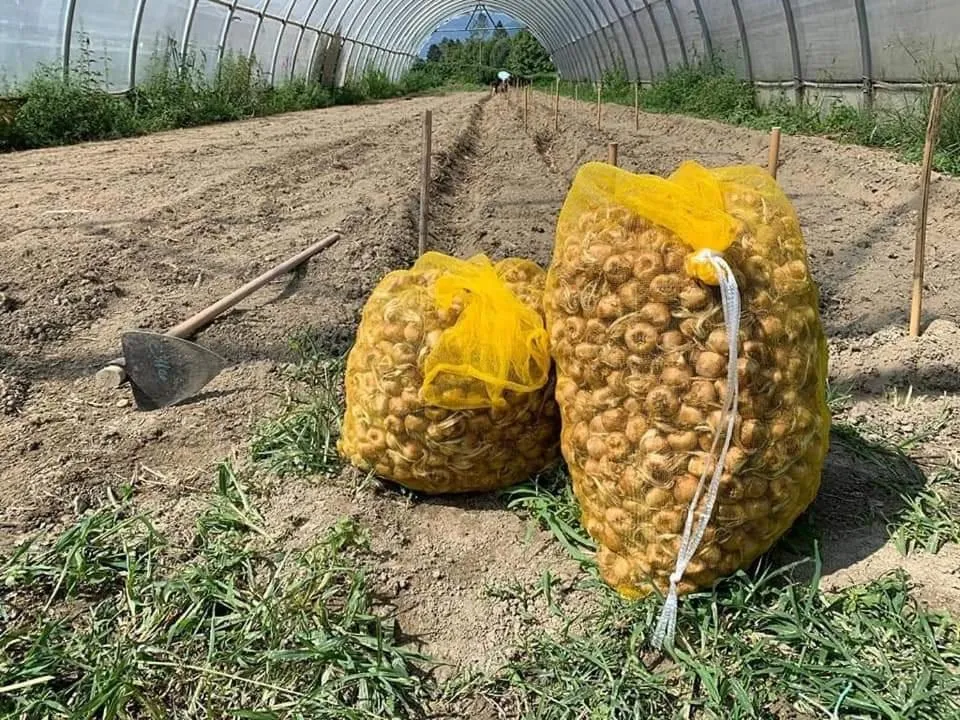 Cascina Borgofrancone