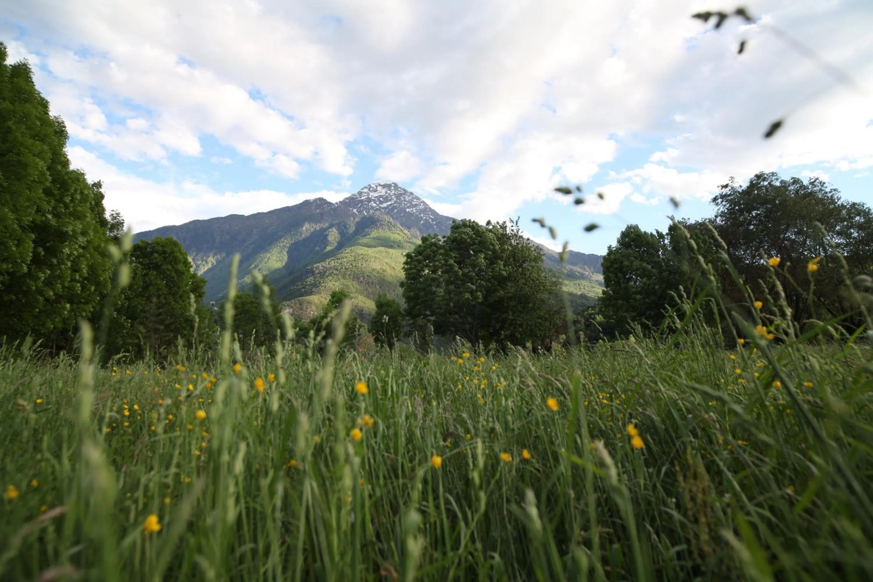 Cascina Borgofrancone