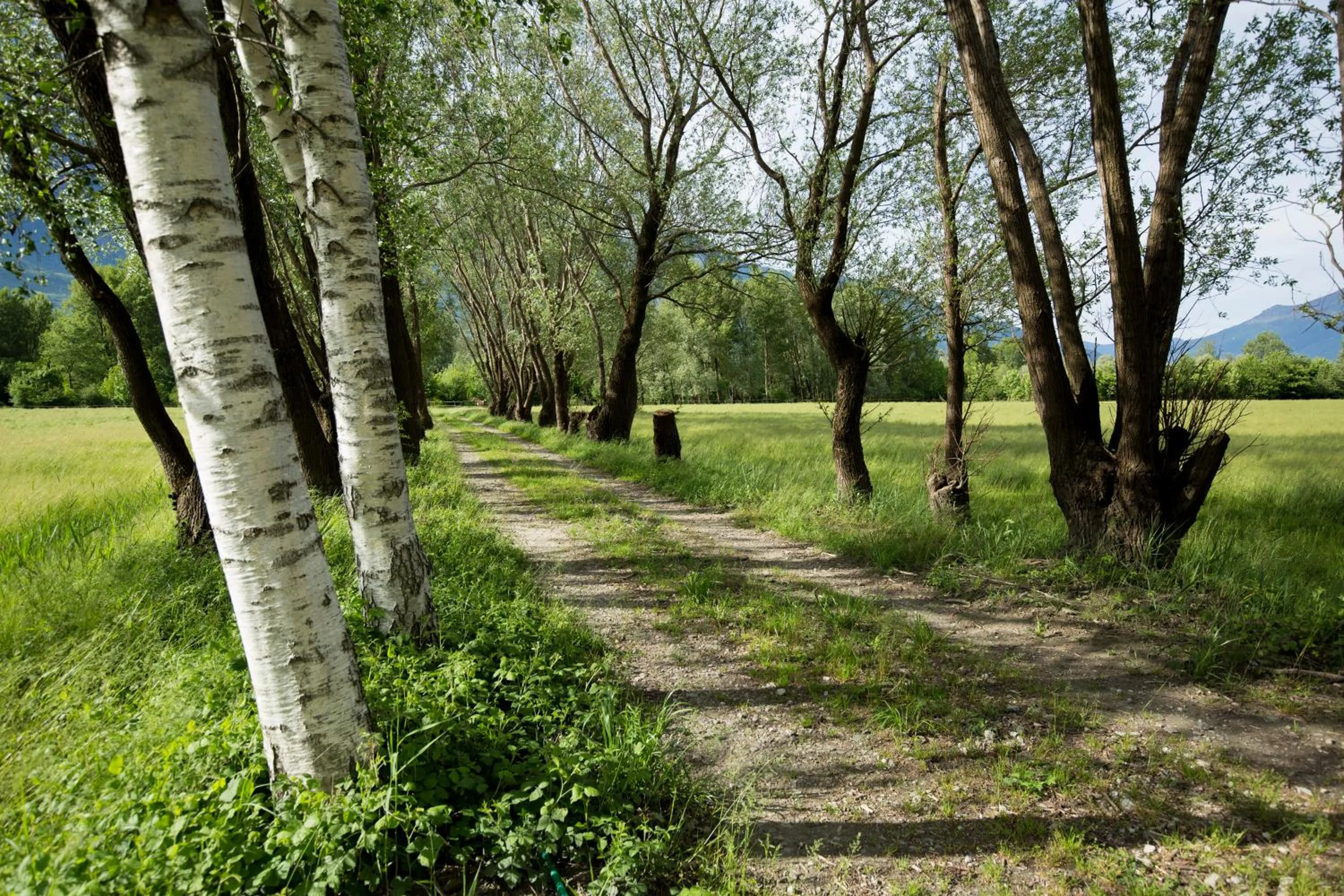 Cascina Borgofrancone