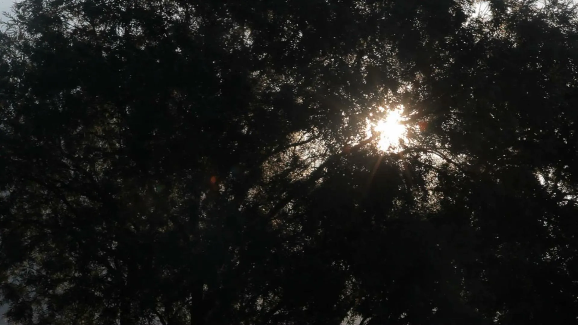 Cascina Borgofrancone