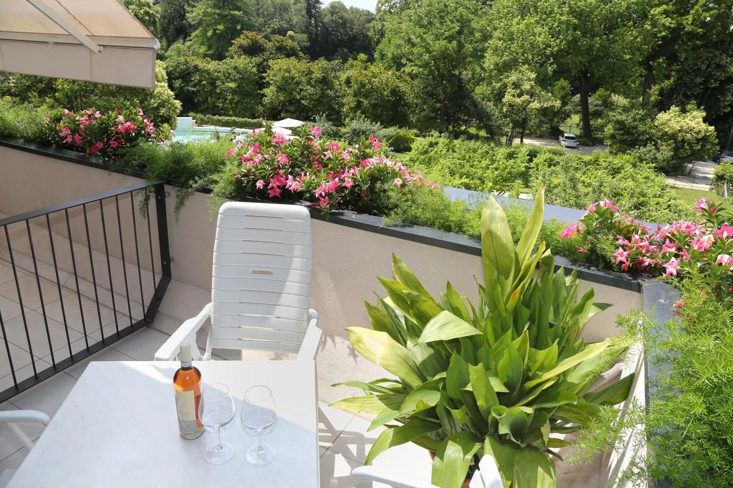 Garden view in Hotel Orchidea
