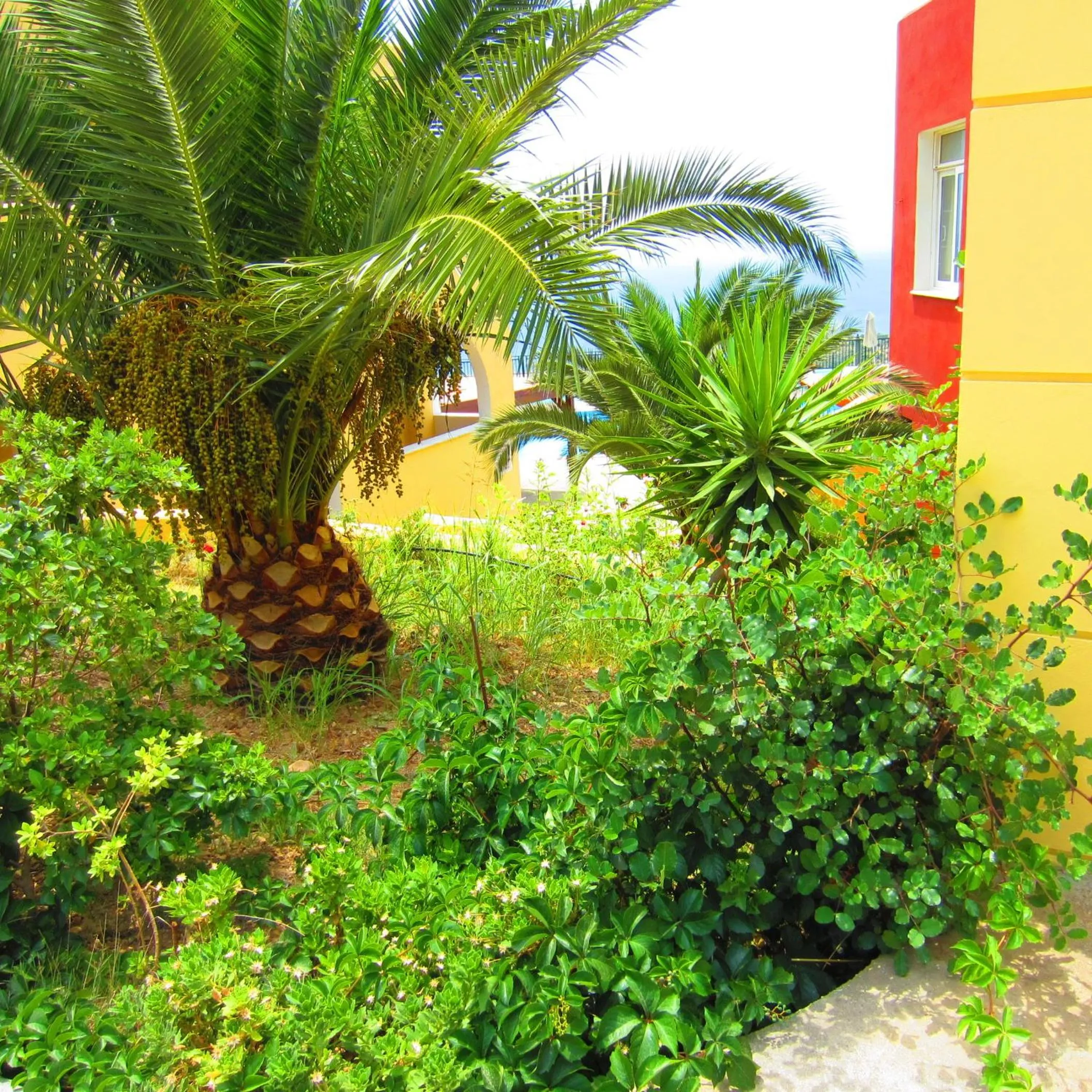 Day in Saint Catherine Hotel