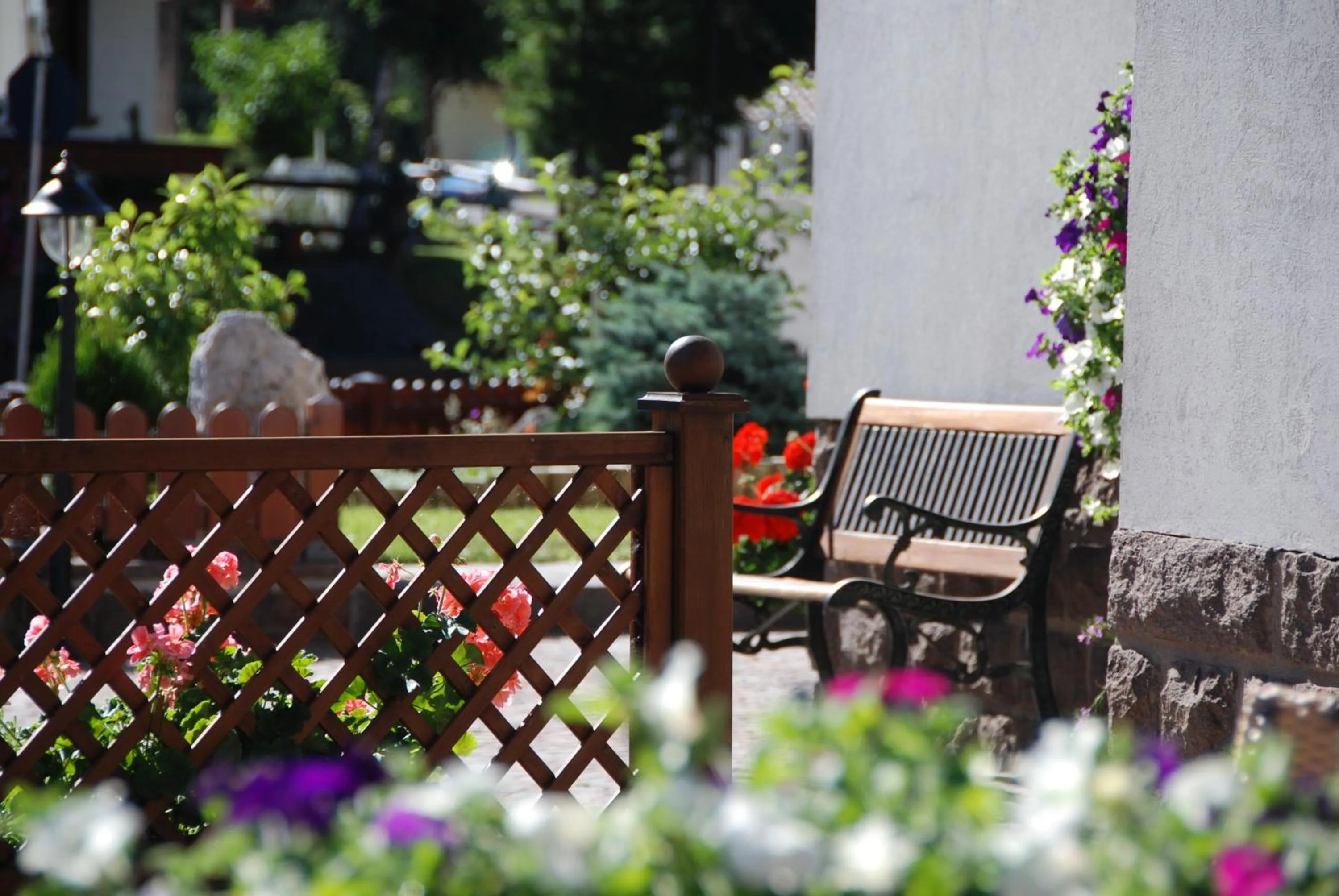 Garden in Hotel Ciampian