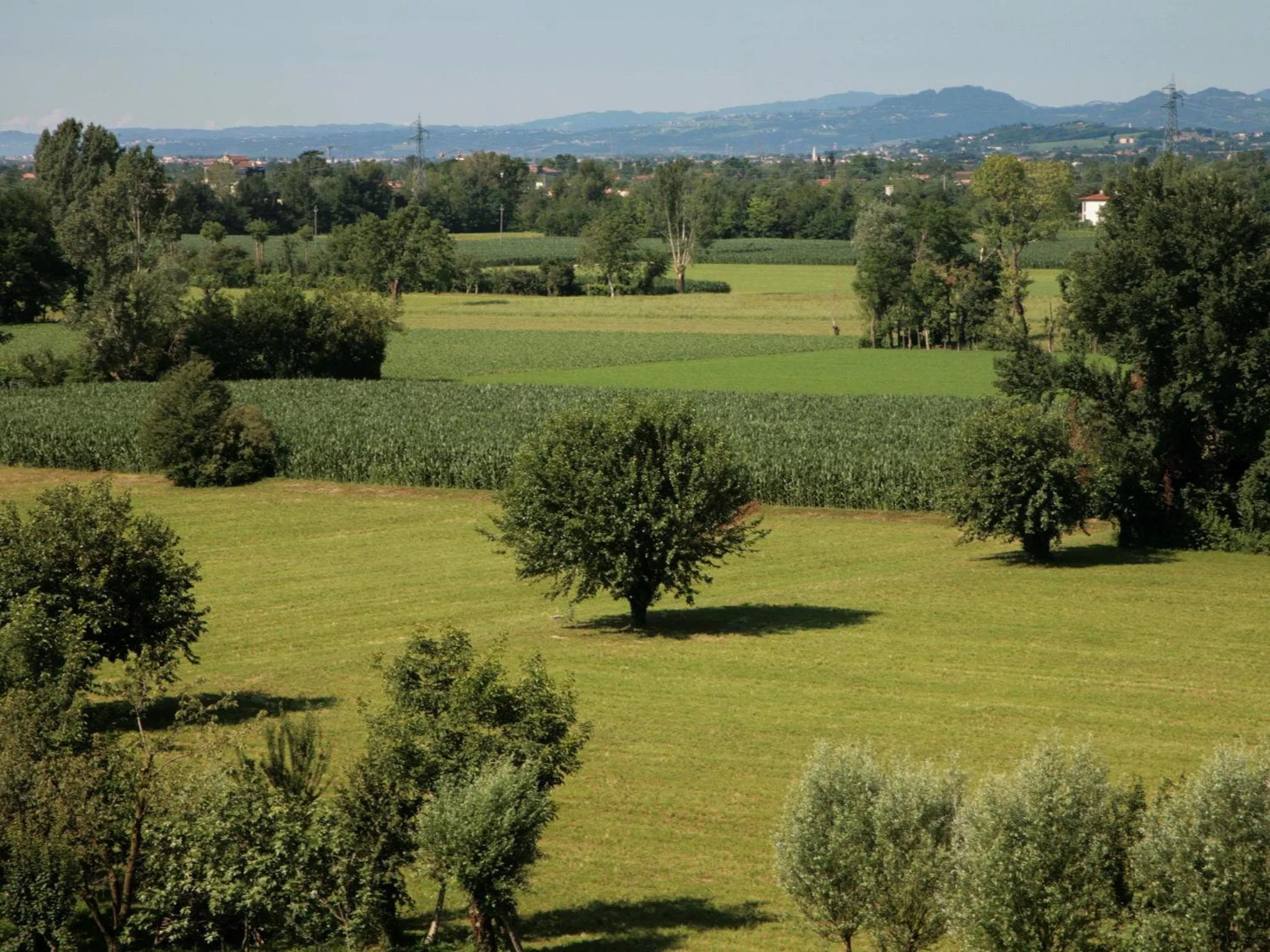 Garden in Le Nove Hotel