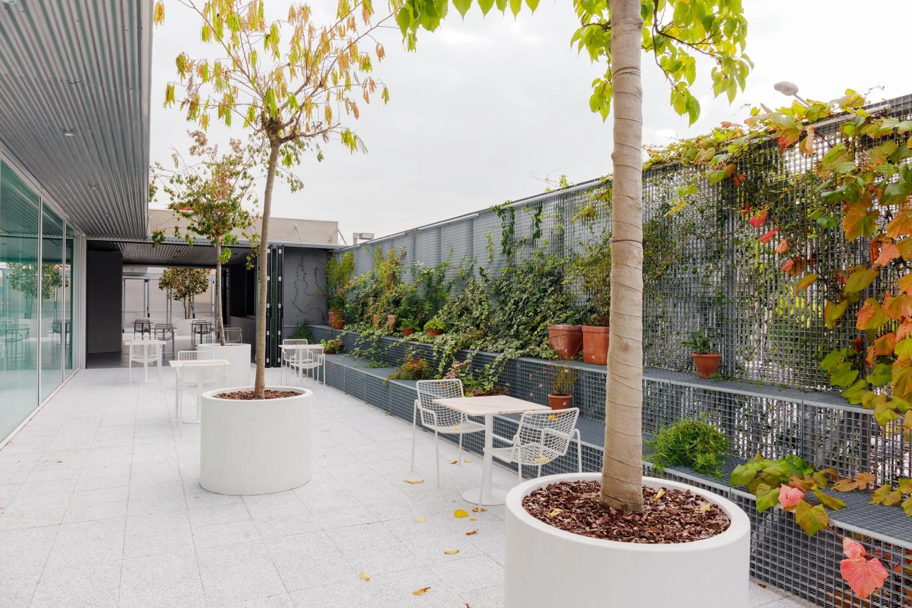 Garden in Le Nove Hotel