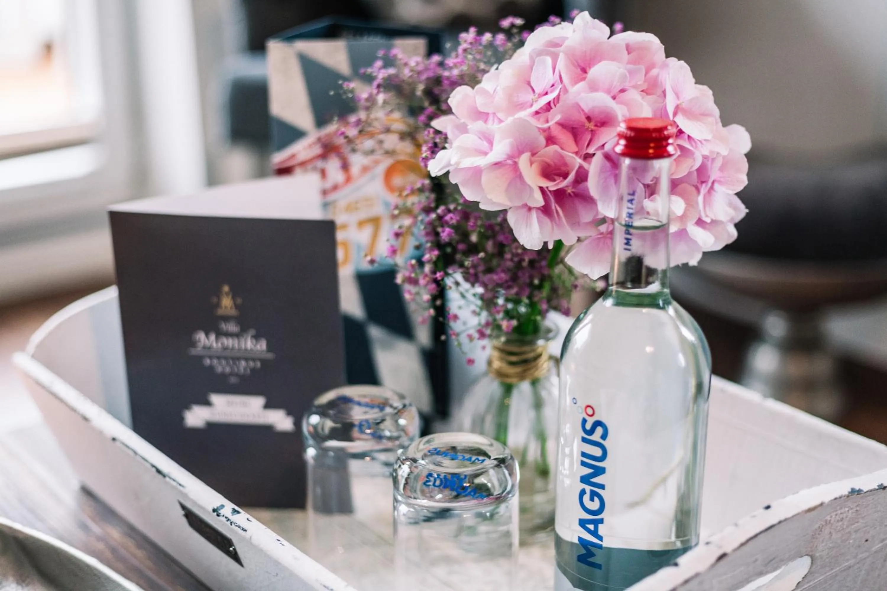 Boutique Hotel Villa Monika