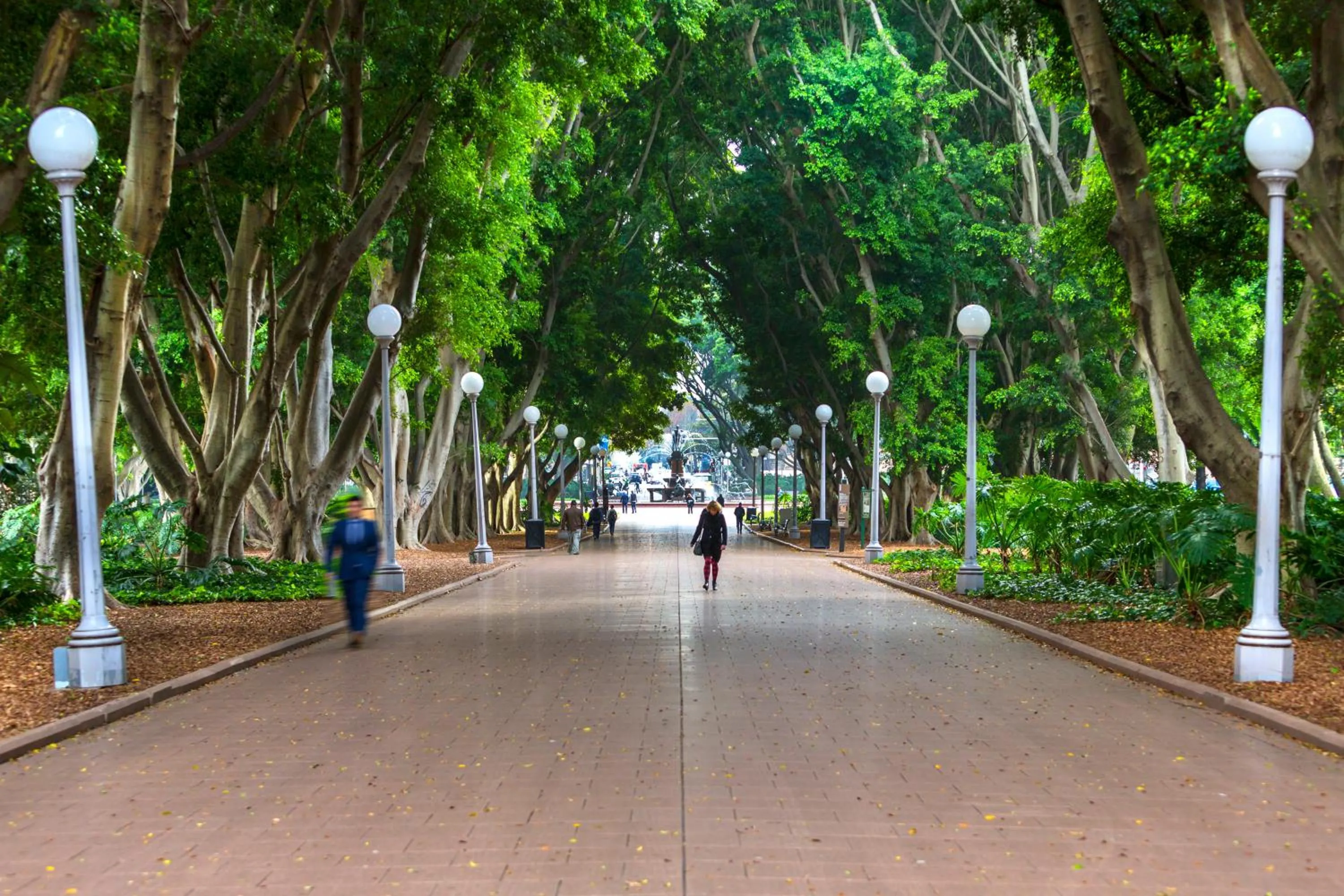 Nearby landmark in Oaks Sydney Hyde Park Suites