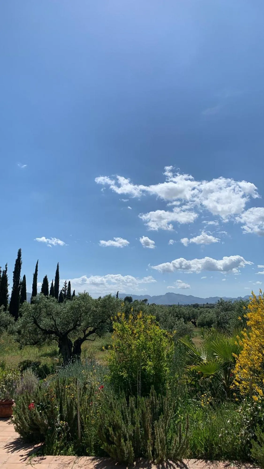 Natural landscape in La Guzmana de Ronda