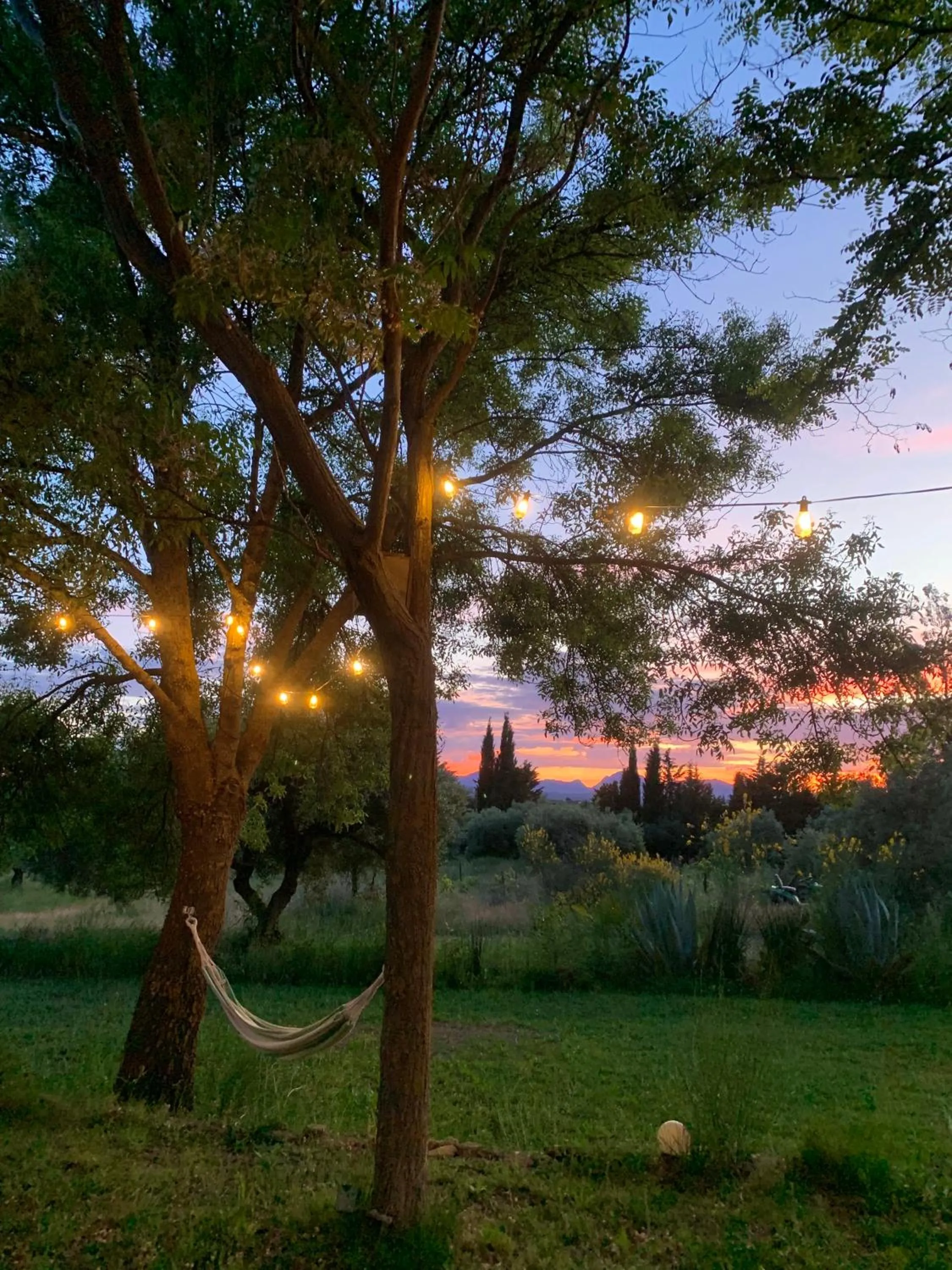 Garden in La Guzmana de Ronda