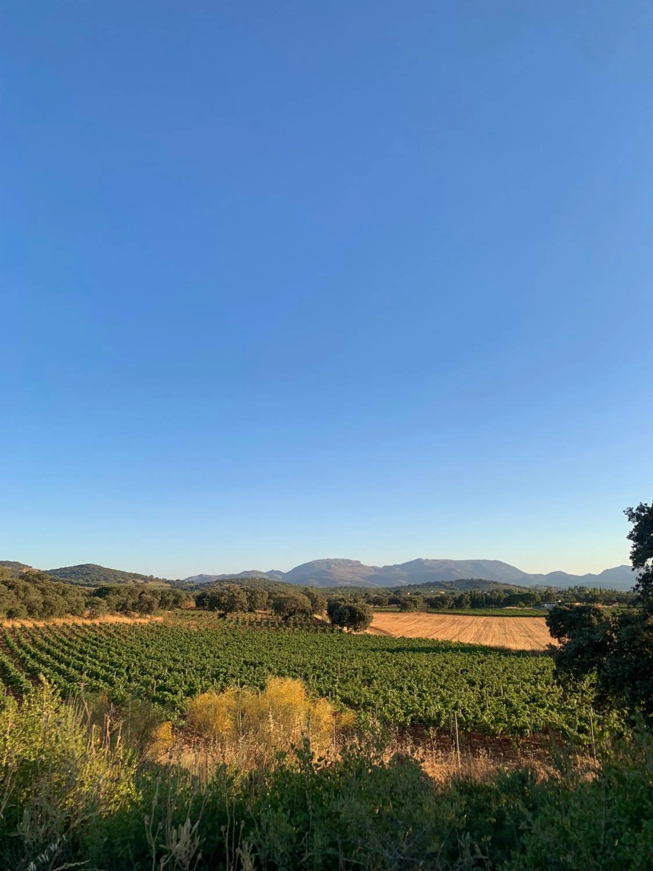 Nearby landmark in La Guzmana de Ronda