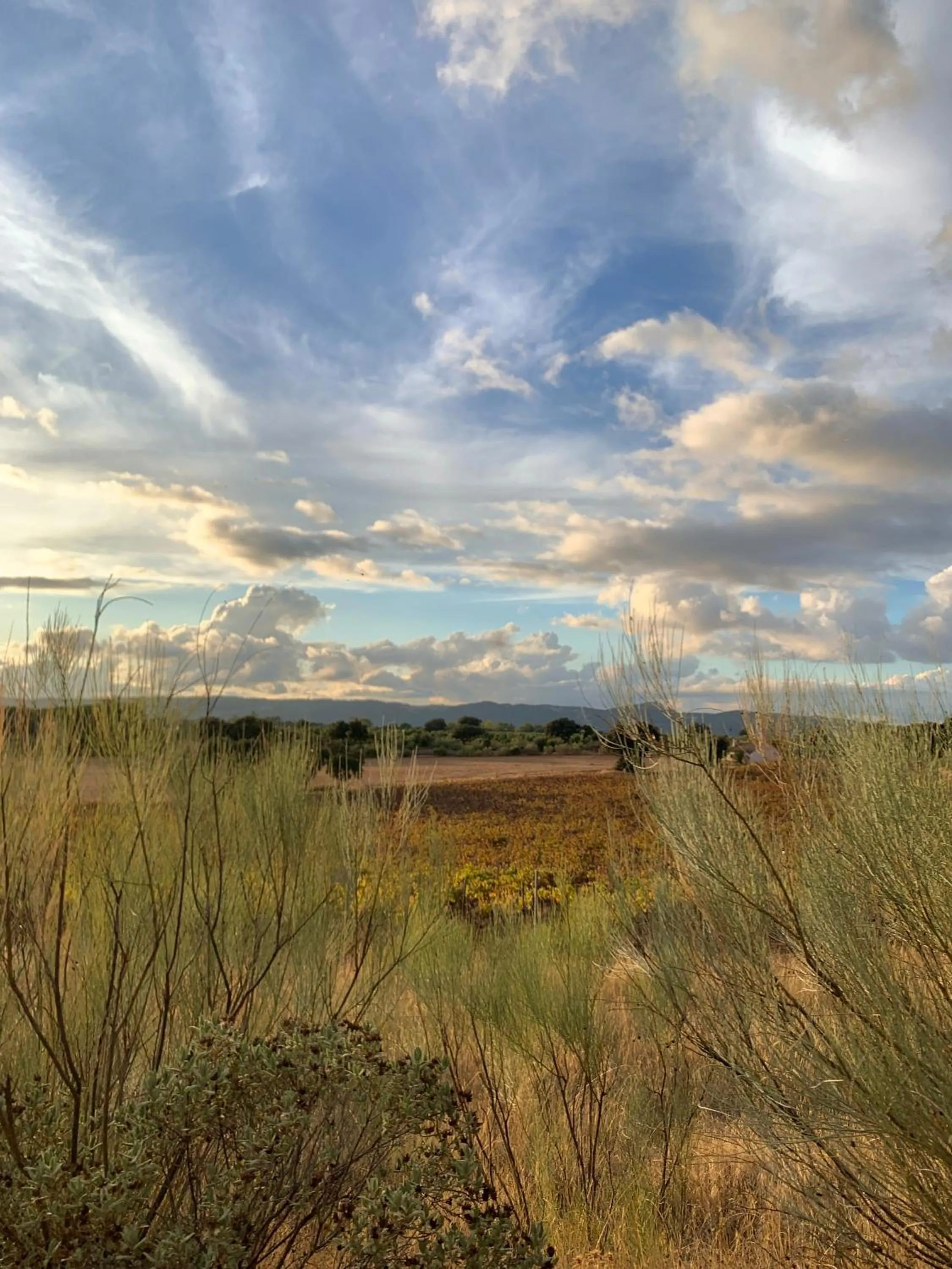 Natural landscape in La Guzmana de Ronda