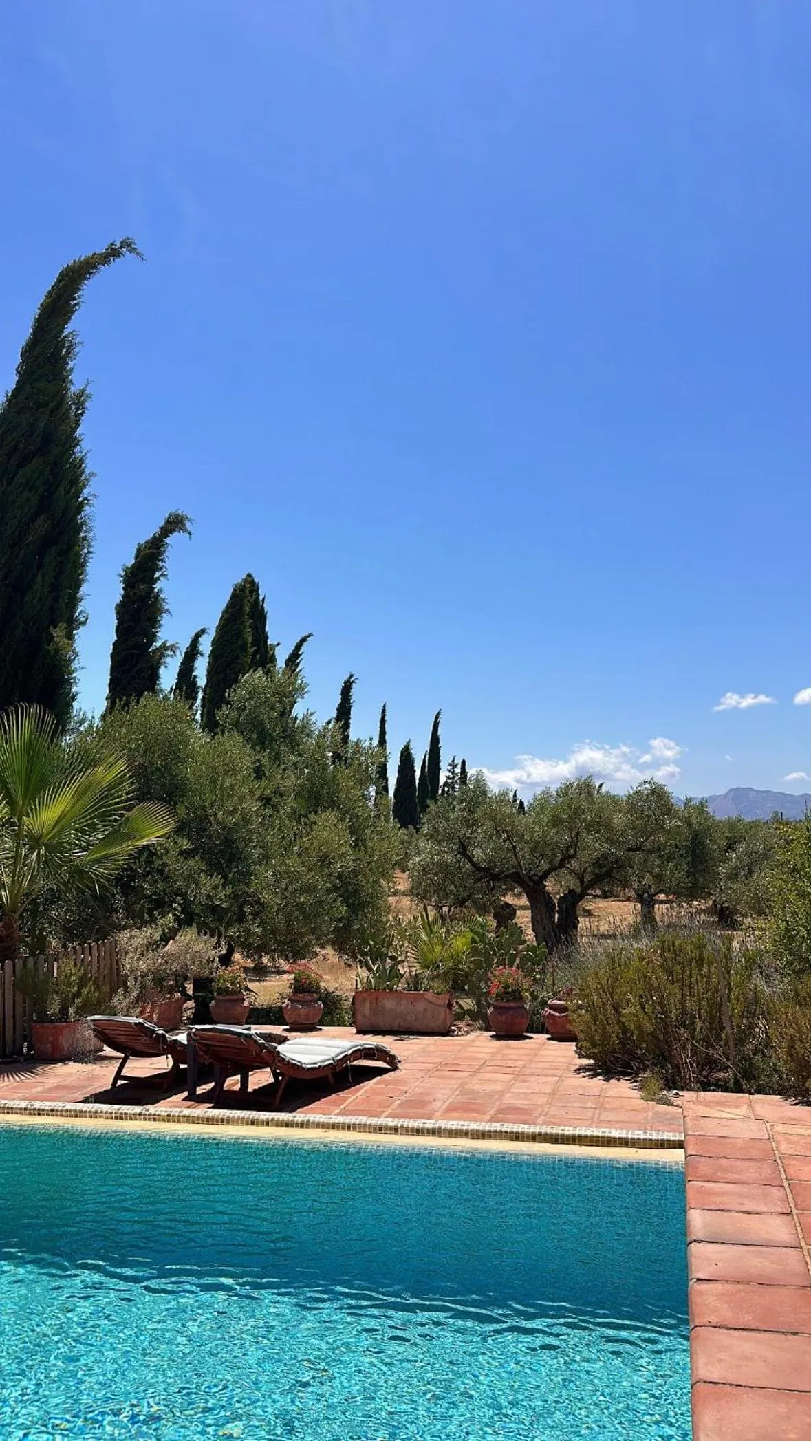 Swimming pool in La Guzmana de Ronda