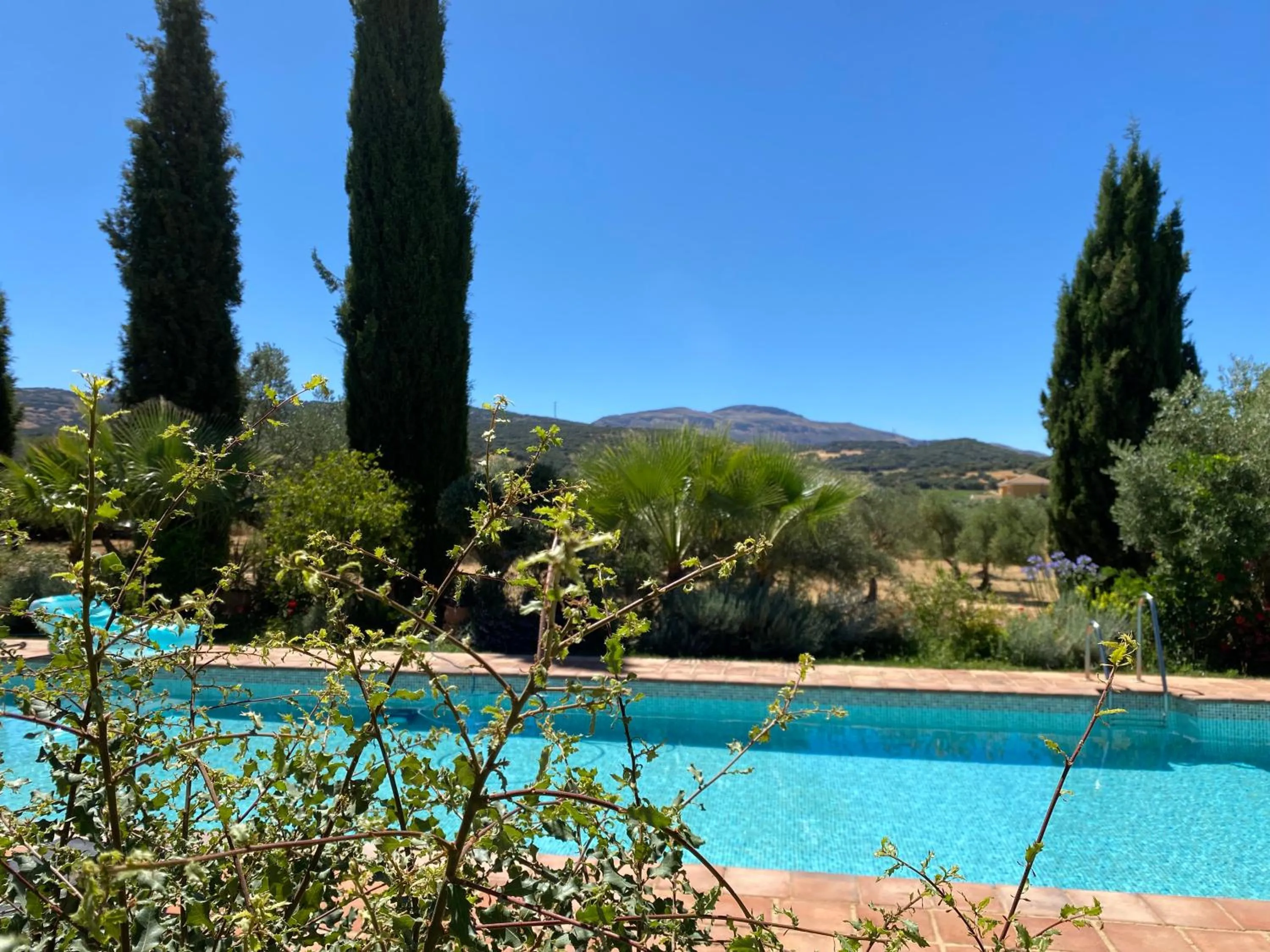 Pool view in La Guzmana de Ronda