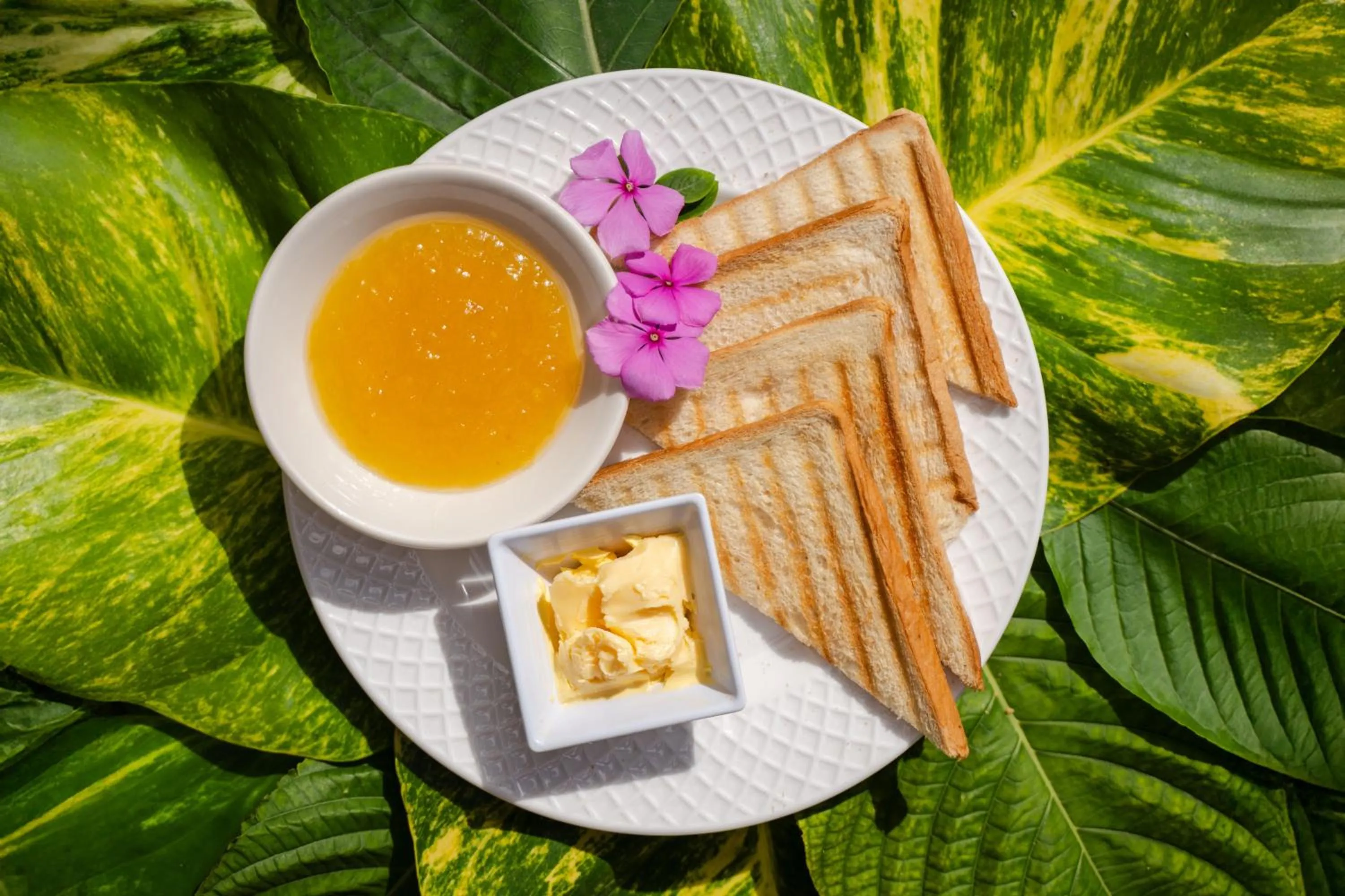 Aparta-Hotel Villa Baya