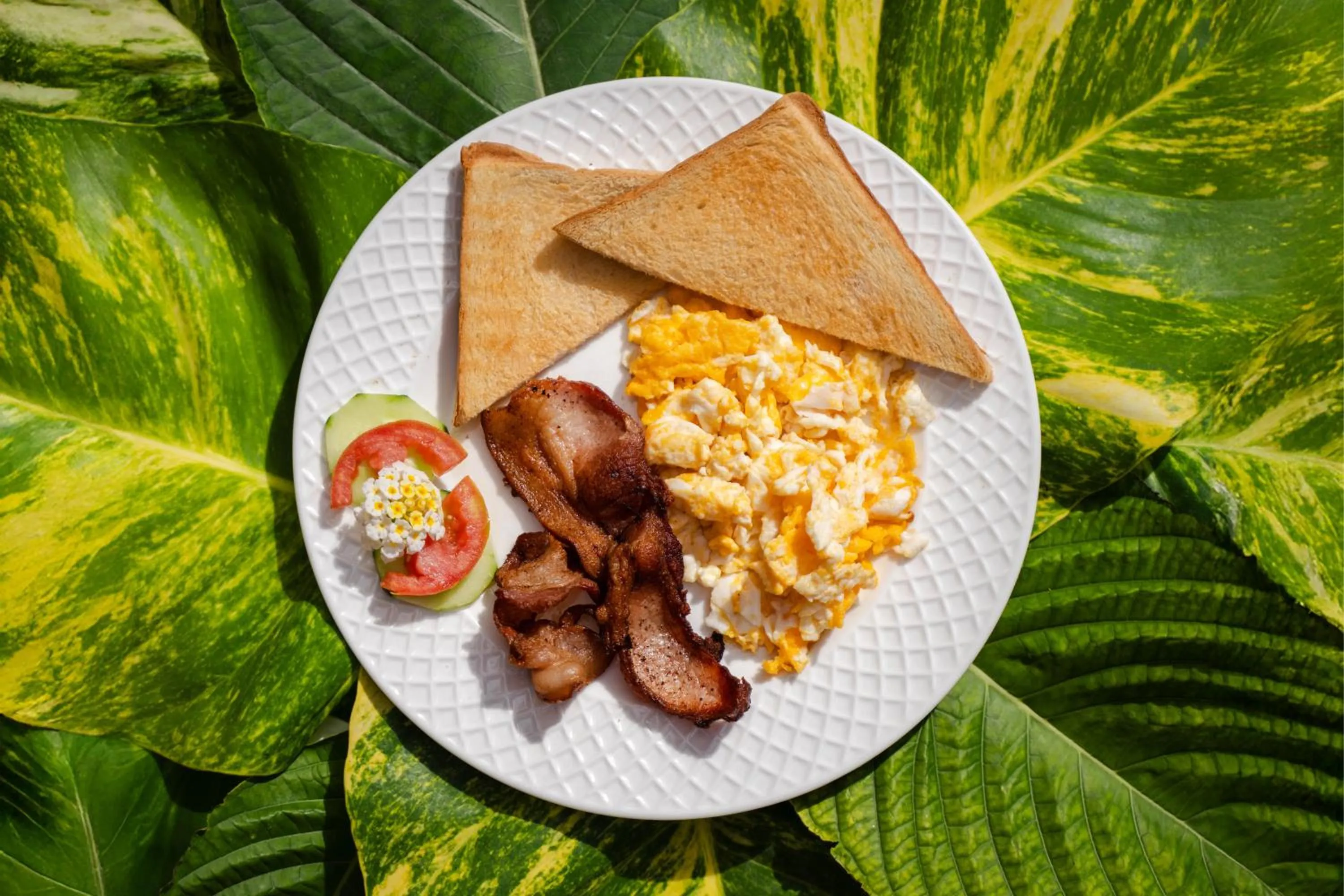 Aparta-Hotel Villa Baya