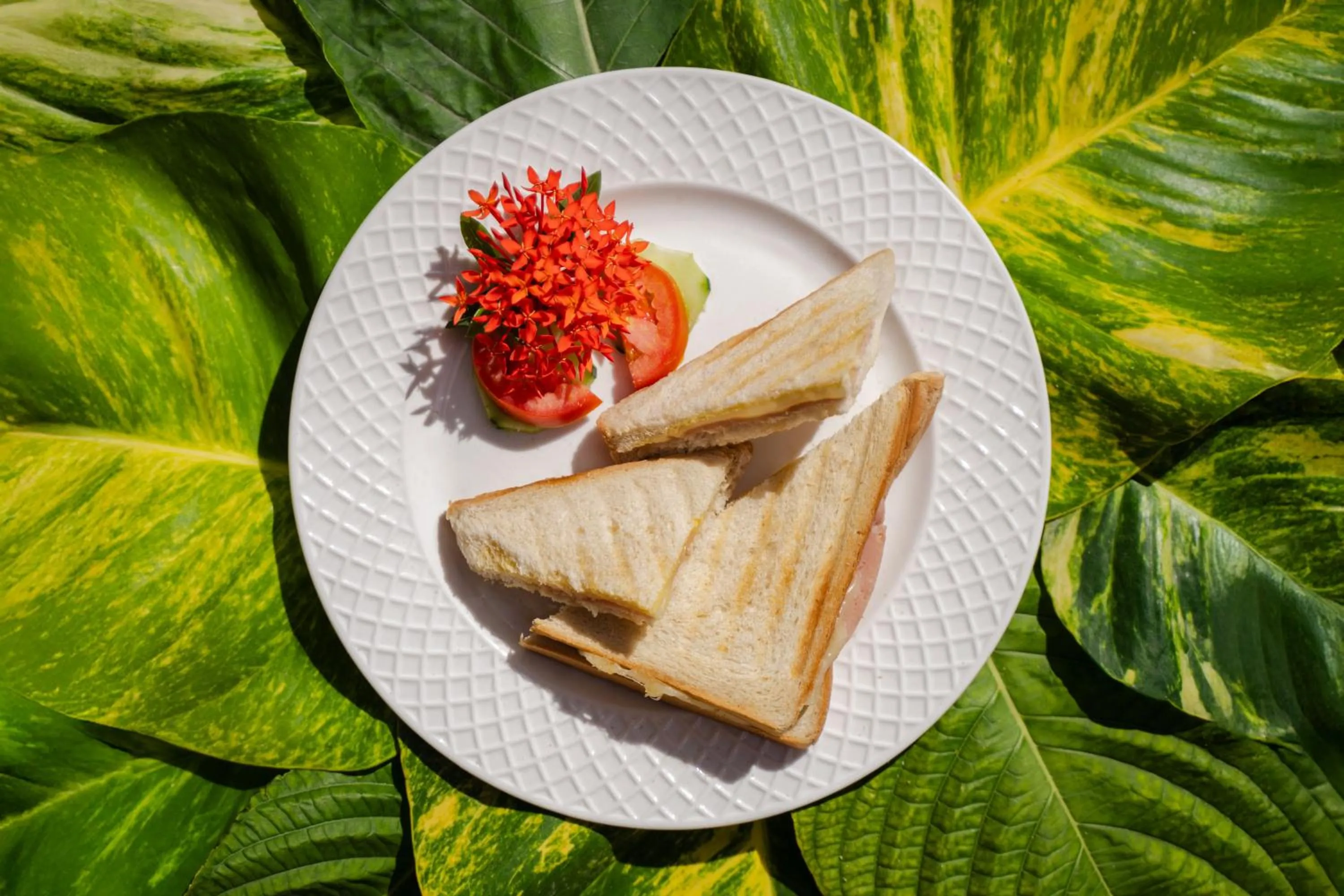 Aparta-Hotel Villa Baya