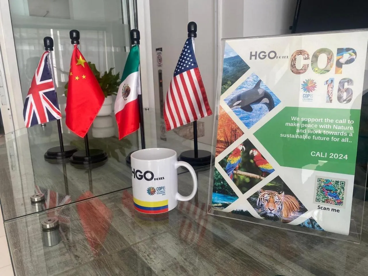 Lobby or reception in hgo hotel