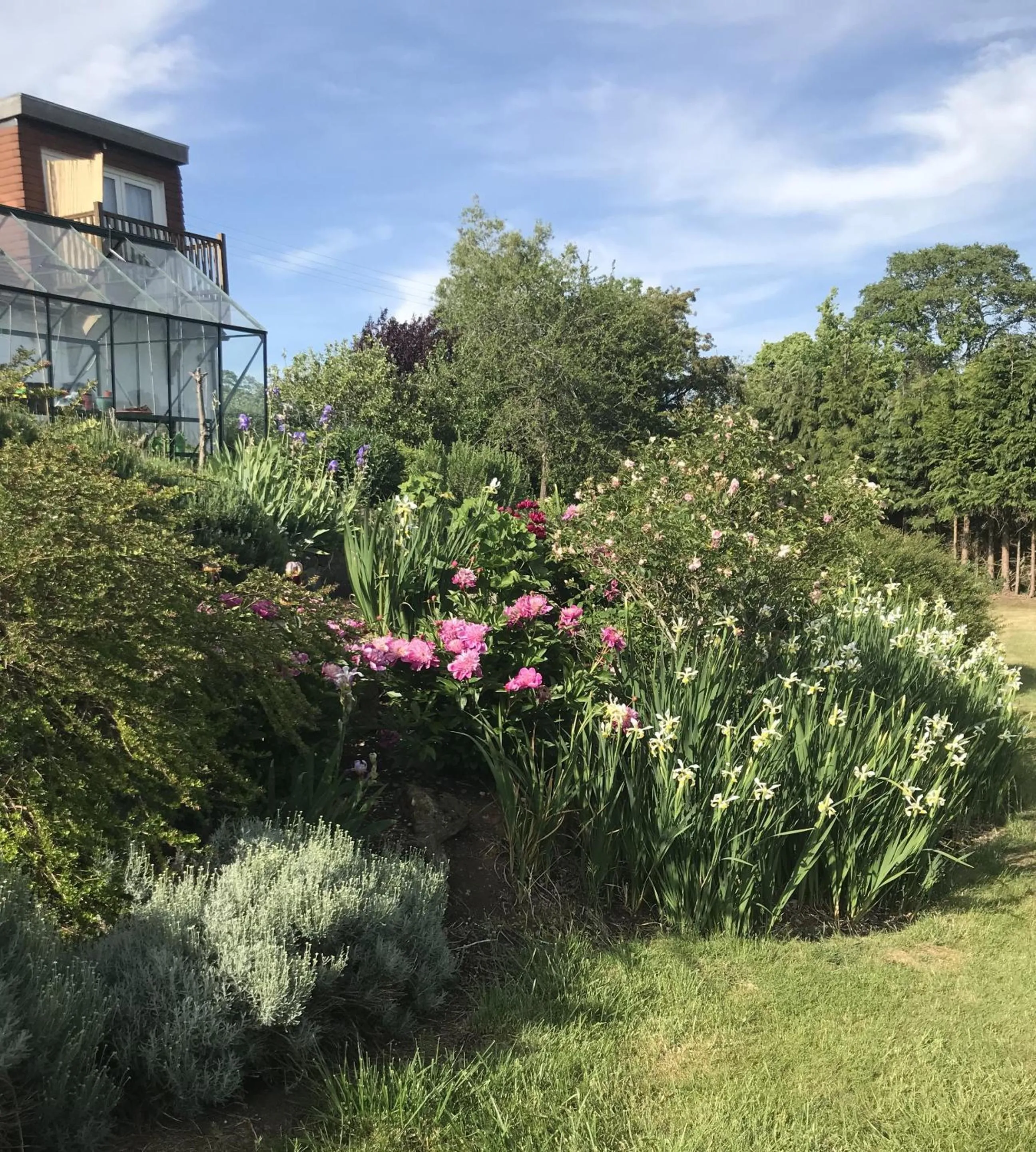 Garden in Shakespeare's View
