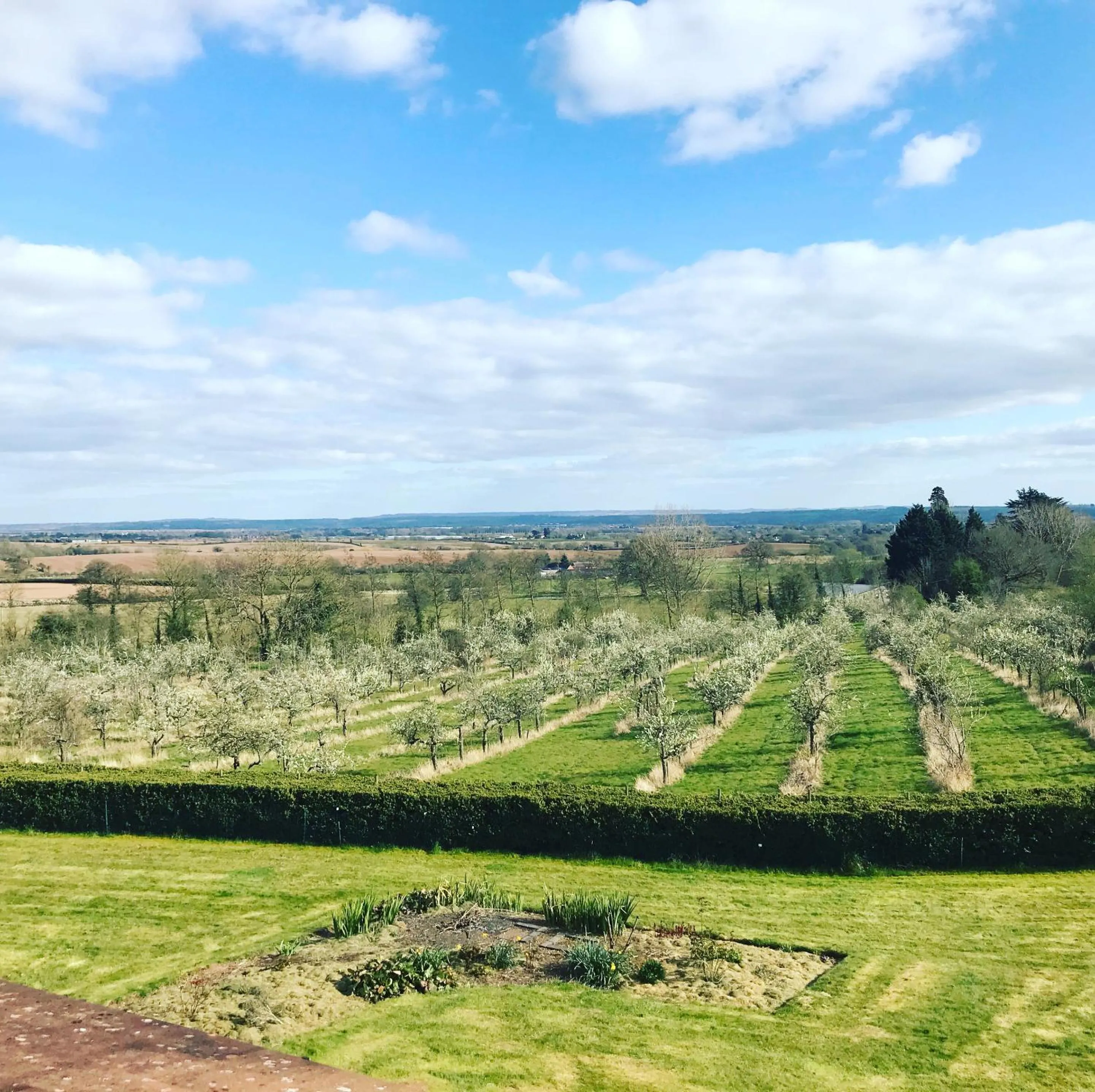 Garden in Shakespeare's View