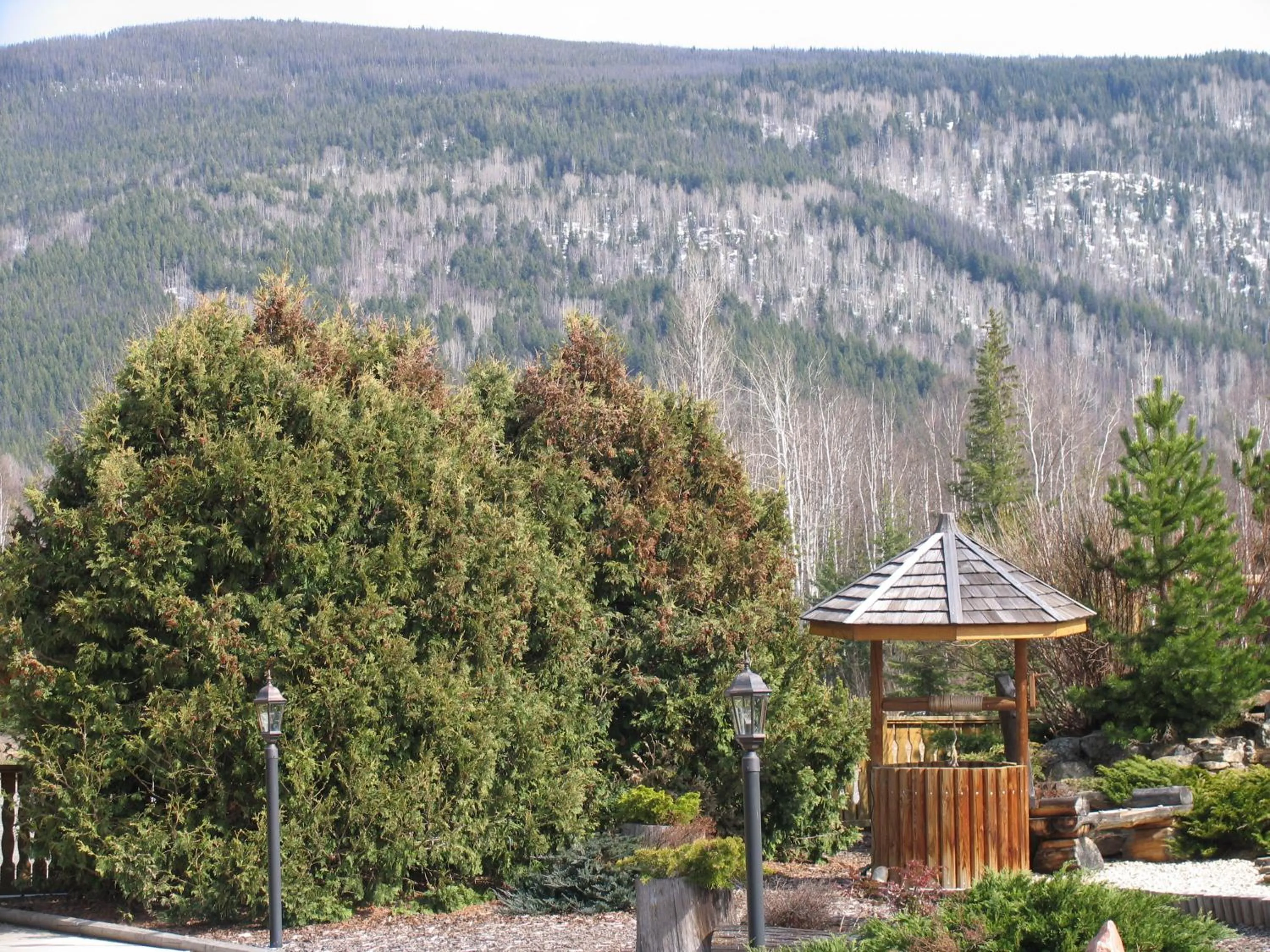 Garden in Blue Grouse Country Inn